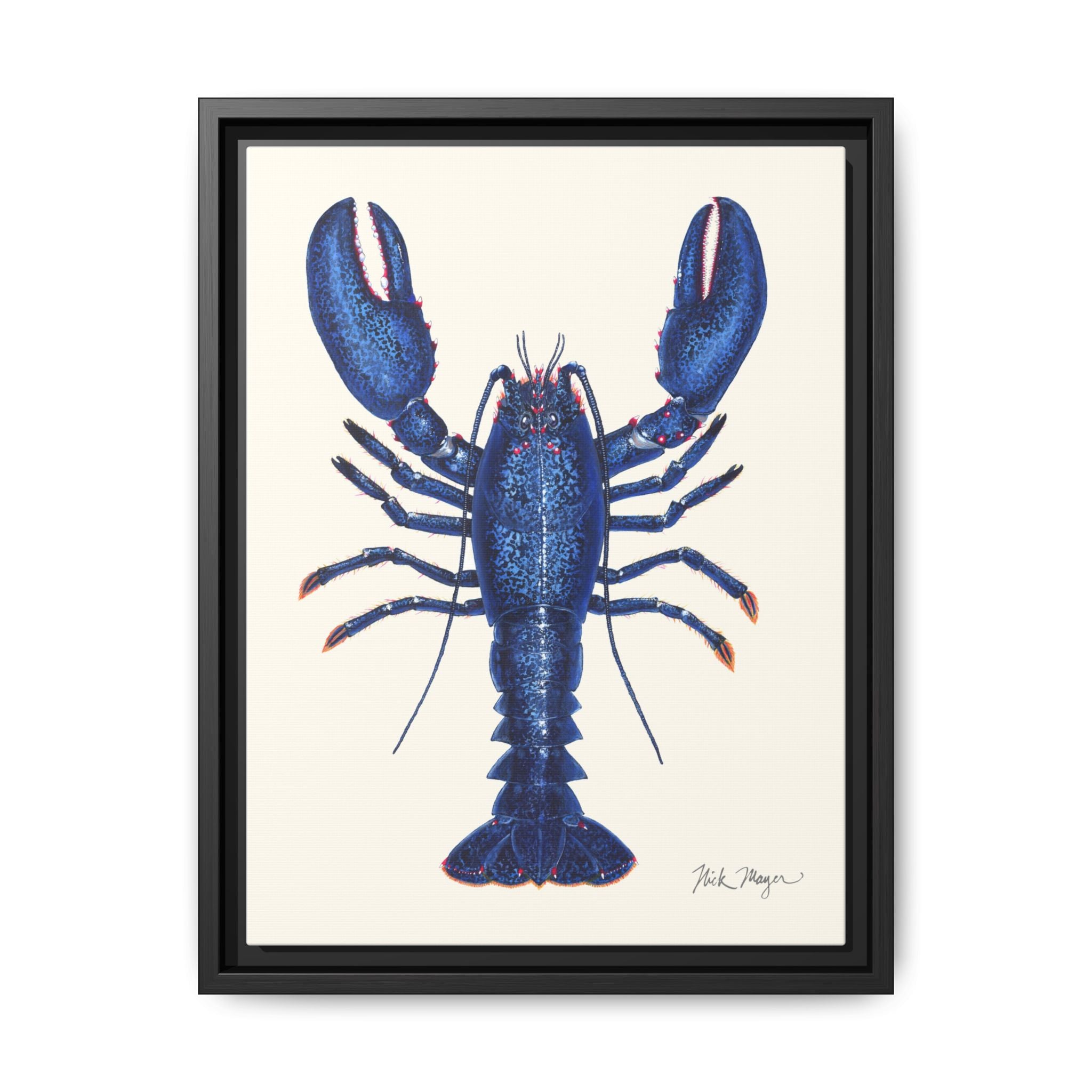 Blue Lobster II Framed Canvas Print Printify