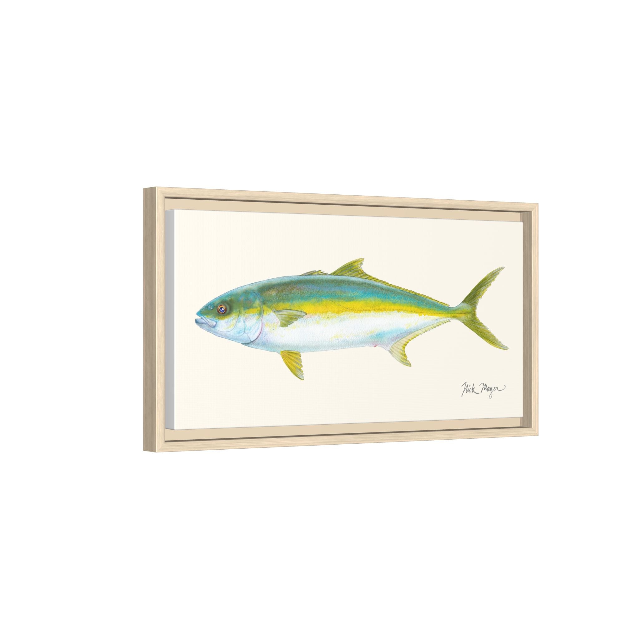 California Yellowtail I Framed Canvas Print Printify