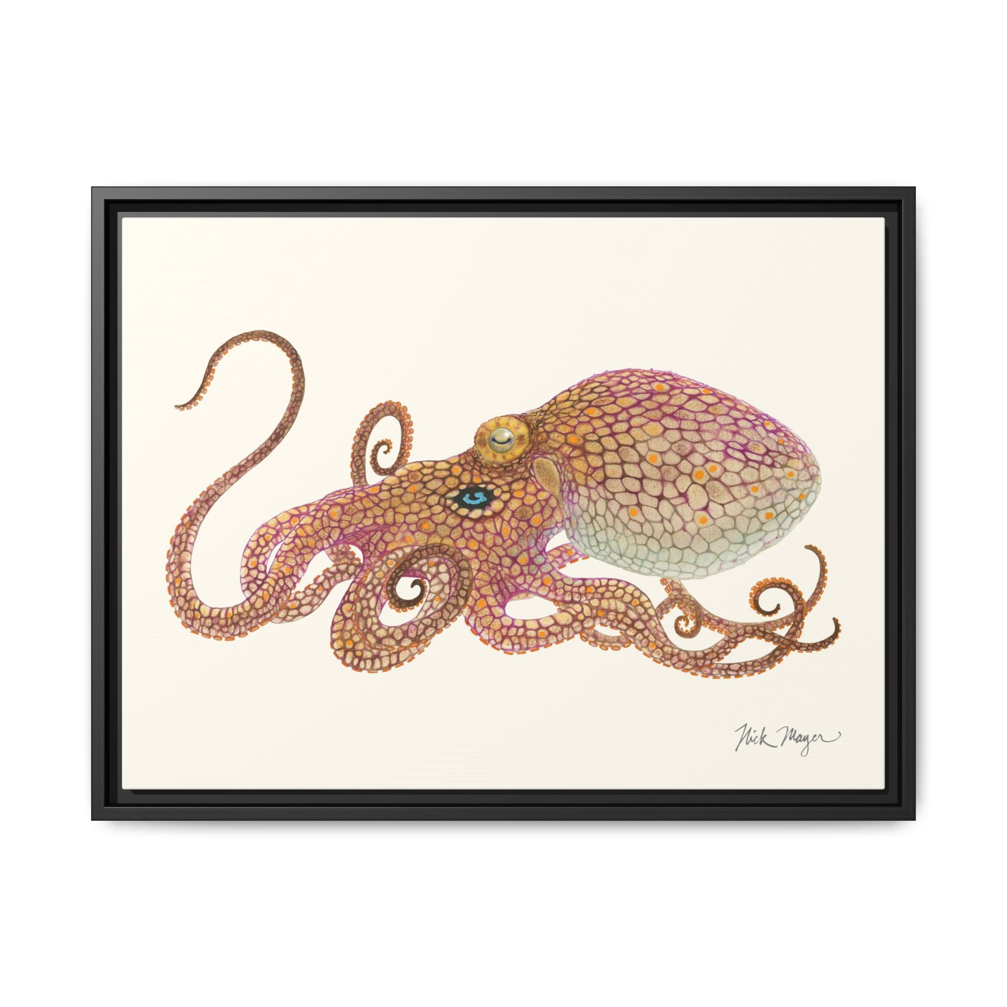 Two Spot Octopus Framed Canvas Print Printify