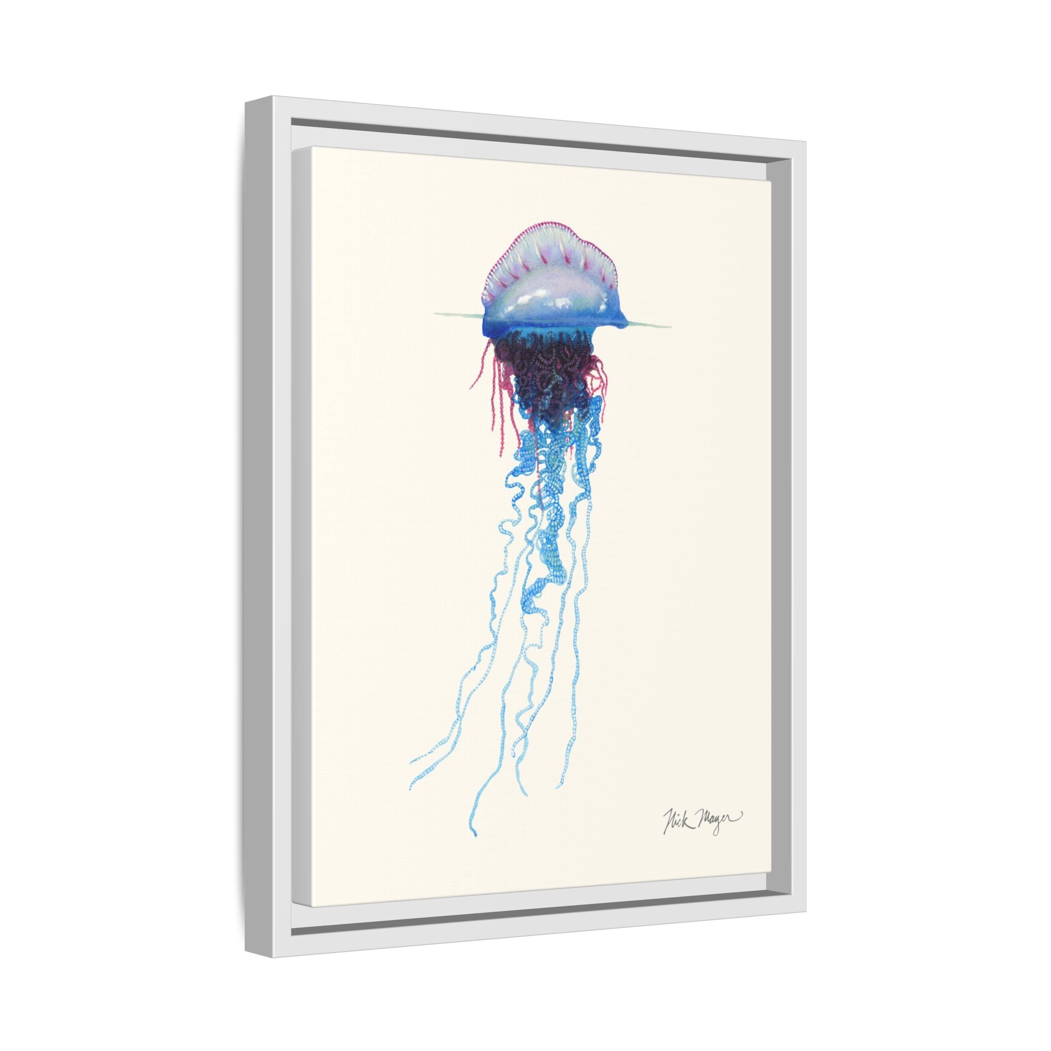 Portuguese Man O' War Framed Canvas Print Printify