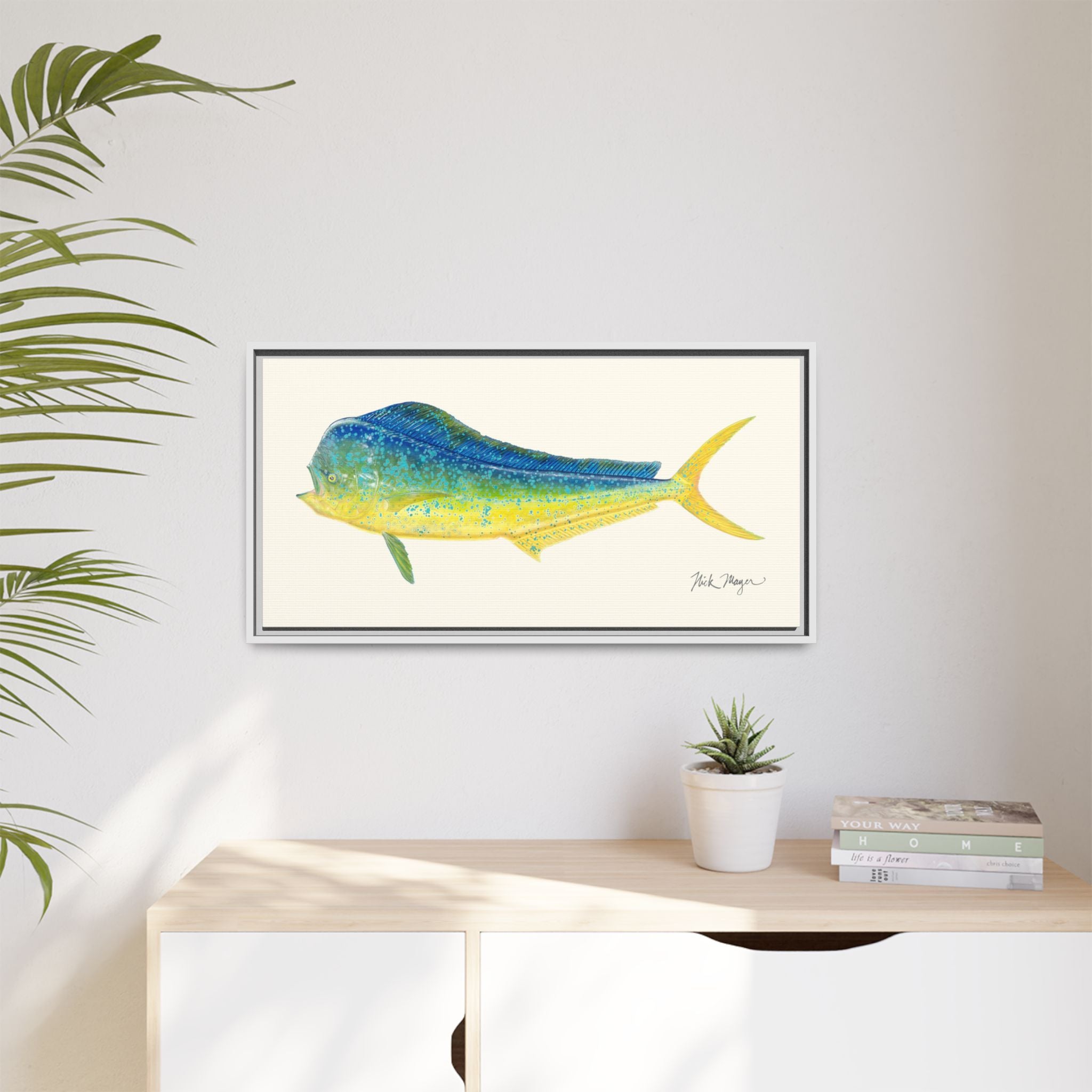 Bull Mahi Mahi Framed Canvas Print