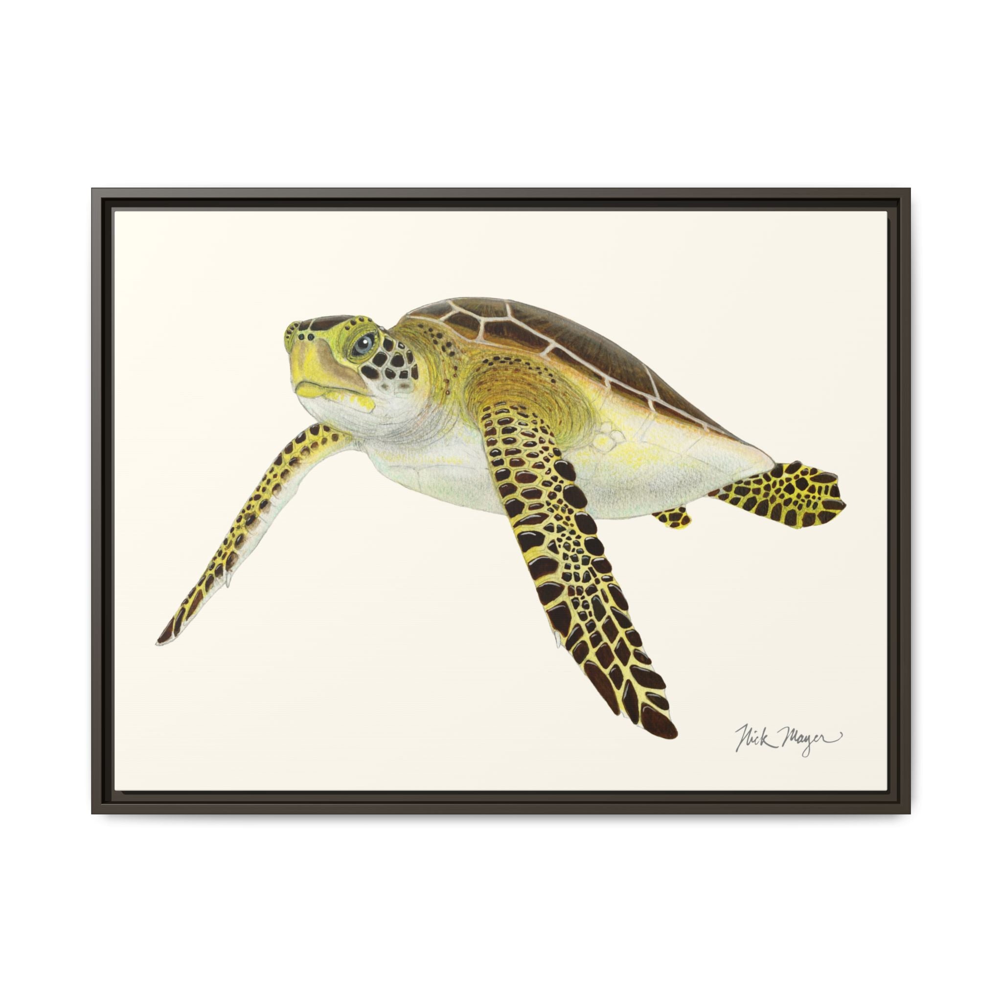 Green Sea Turtle III Framed Canvas Print Printify