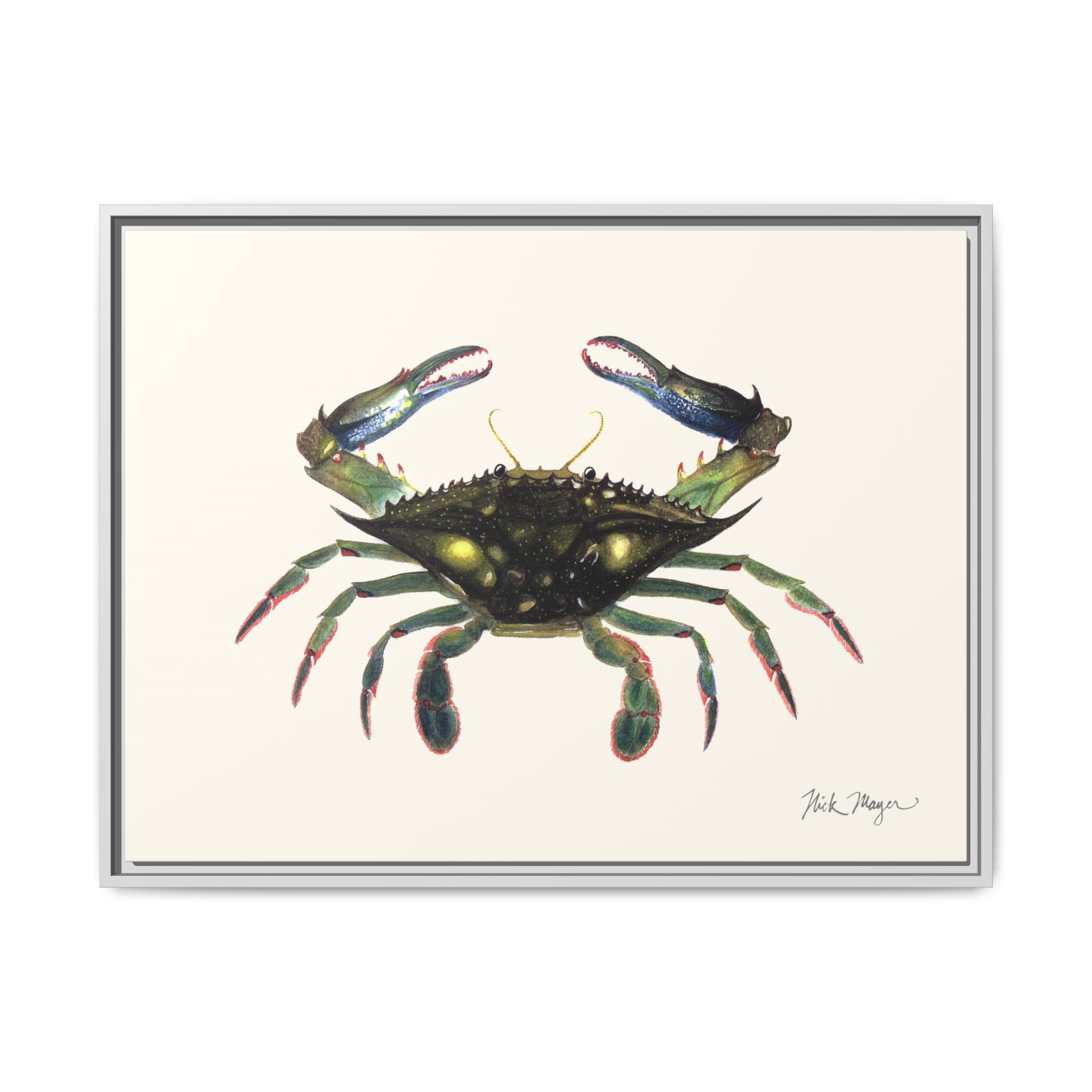 Blue Crab, Claws in Framed Canvas Print Printify