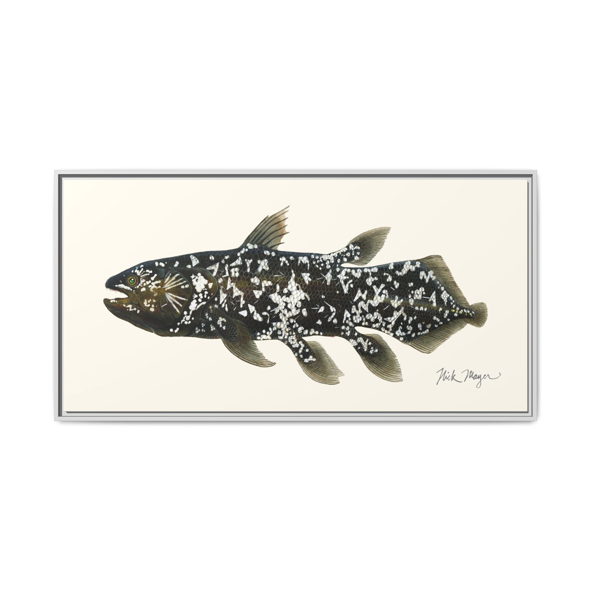 Coelacanth Framed Canvas Print Printify