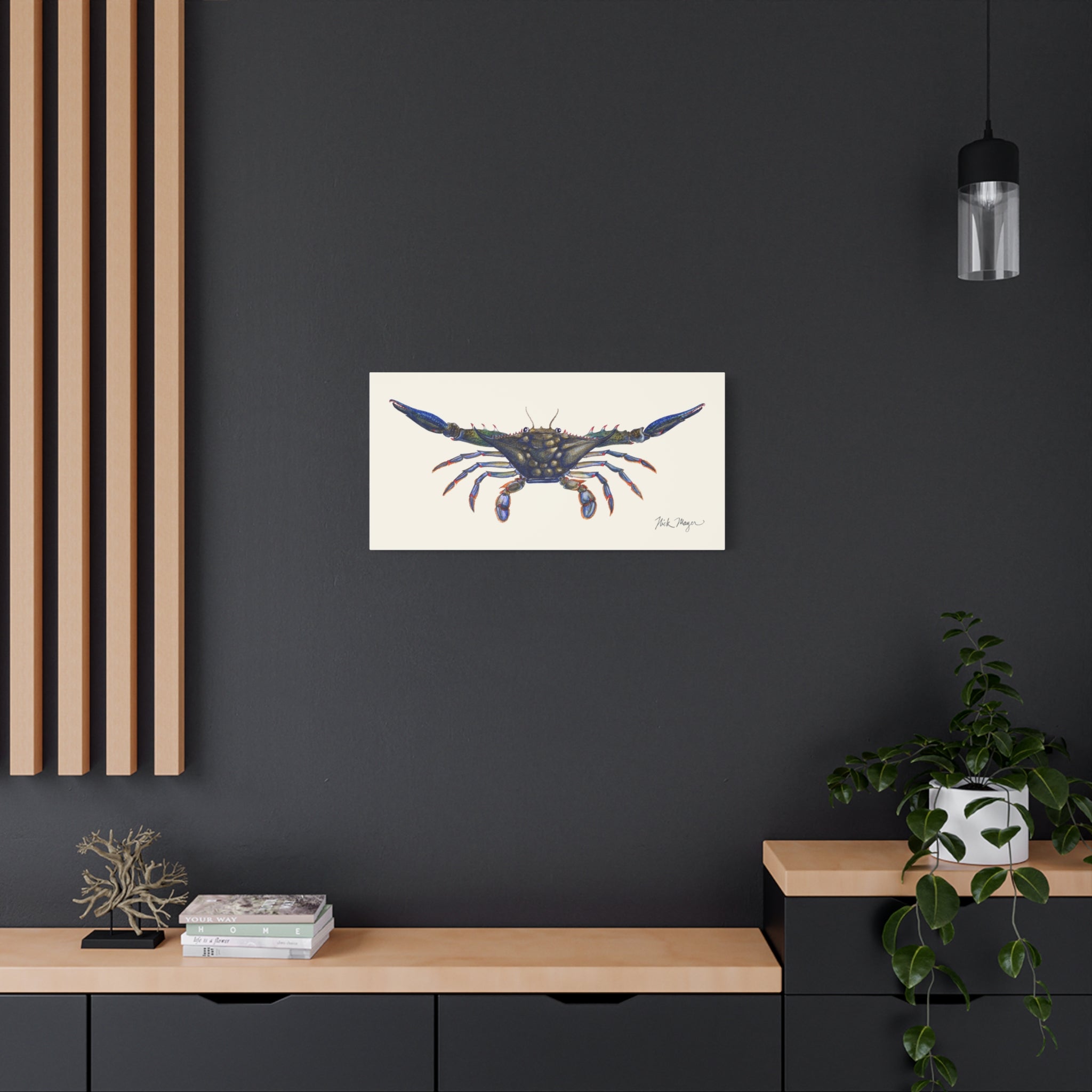 Blue Crab Claws Out Canvas Print