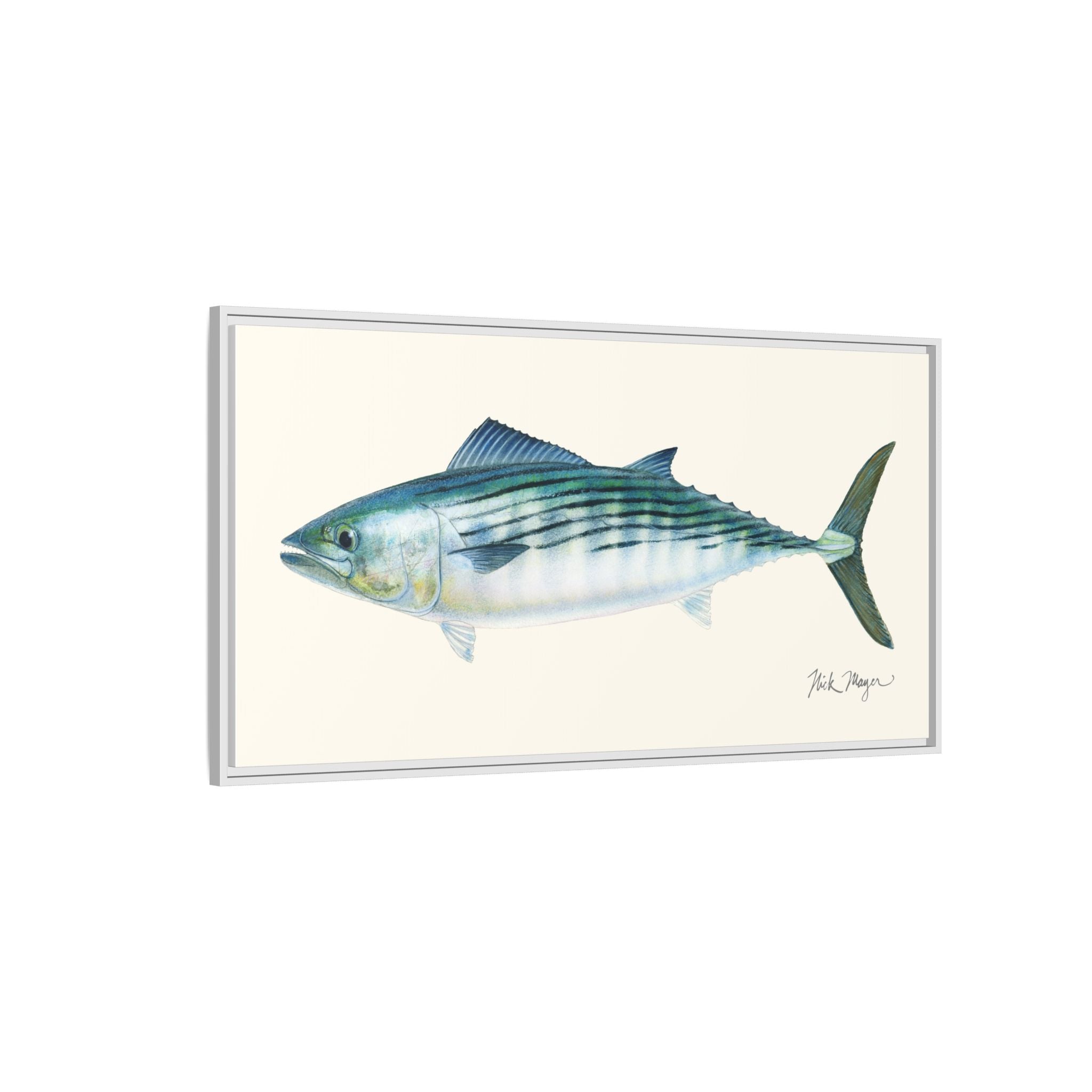 Bonito Framed Canvas Print Printify