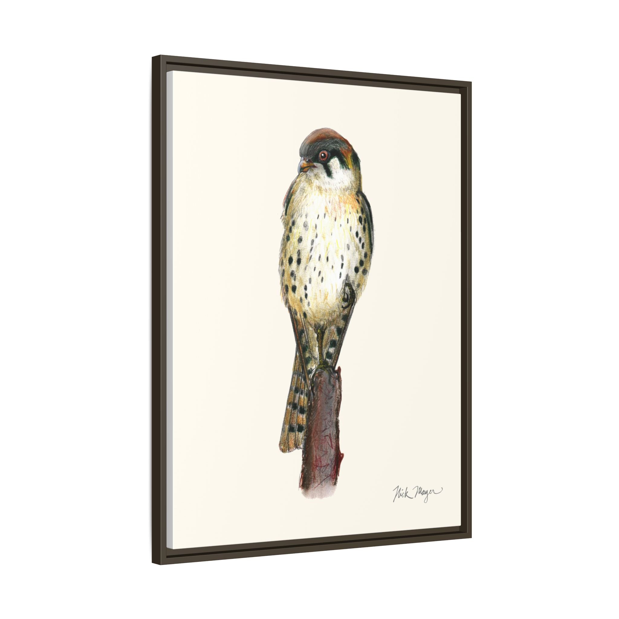 American Kestrel Framed Canvas Print Printify