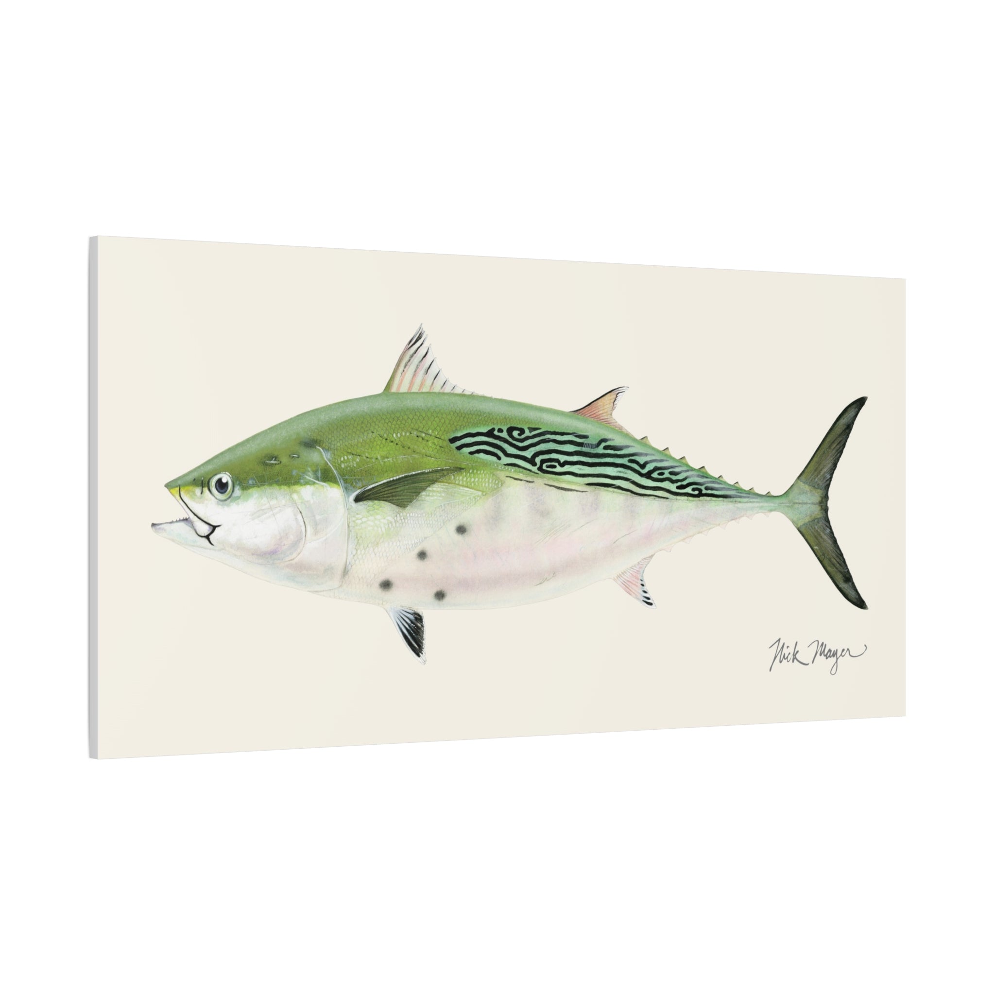False Albacore IV Canvas Print