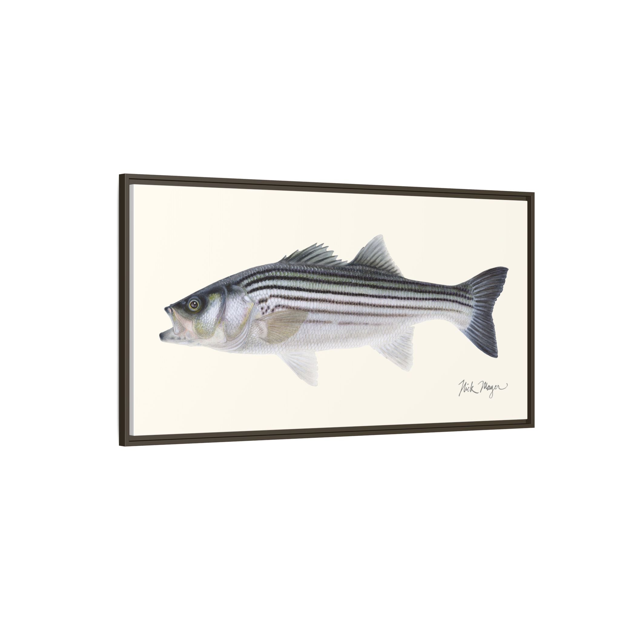 Schoolie Striped Bass Framed Canvas Print Printify