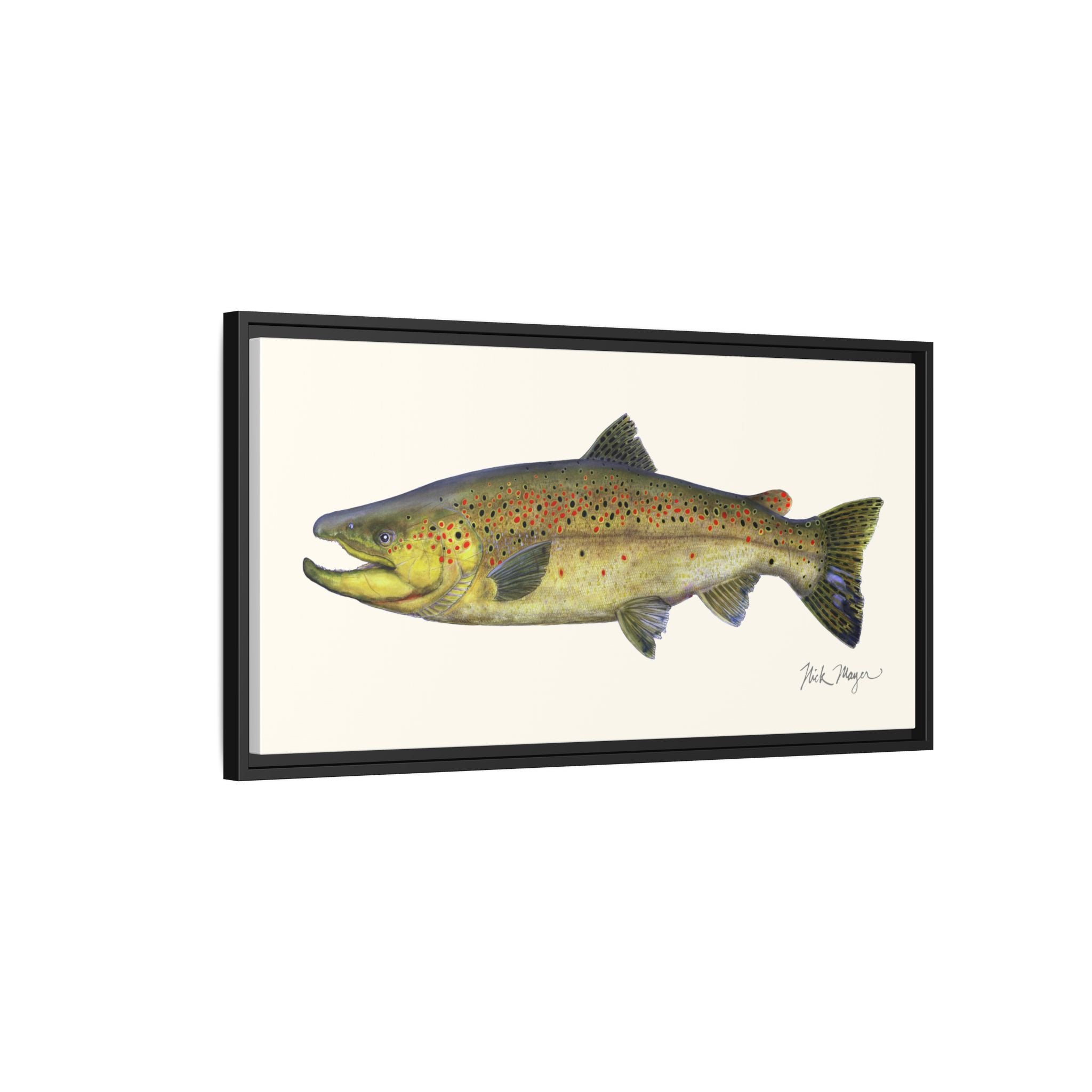 Brown Trout I Framed Canvas Print Printify