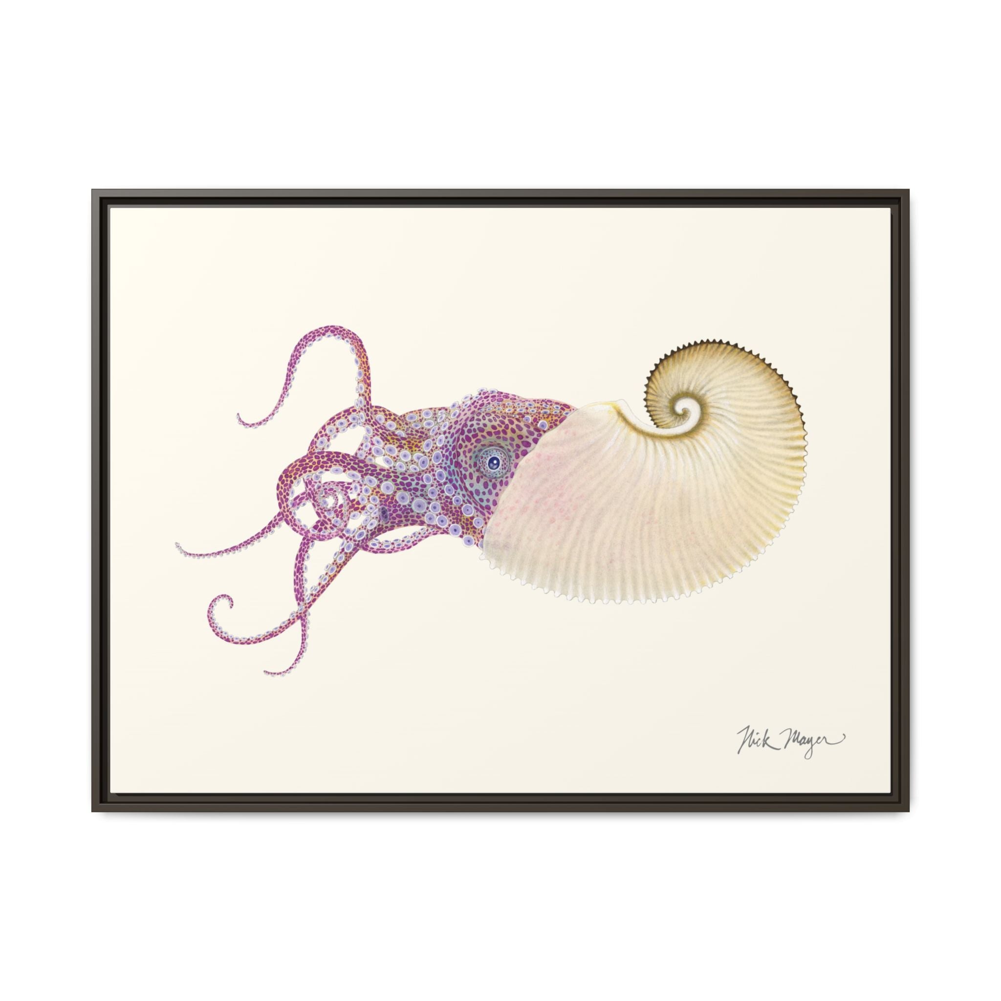 Paper Nautilus Framed Canvas Print Printify