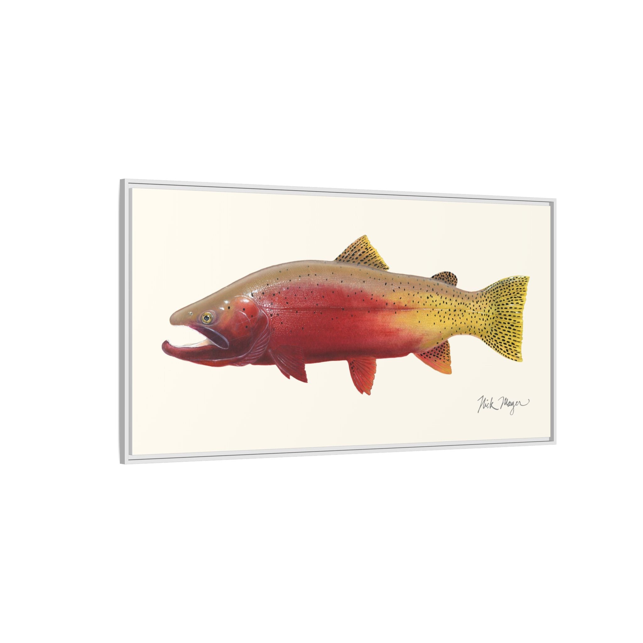 Cutthroat Trout II Framed Canvas Print Printify