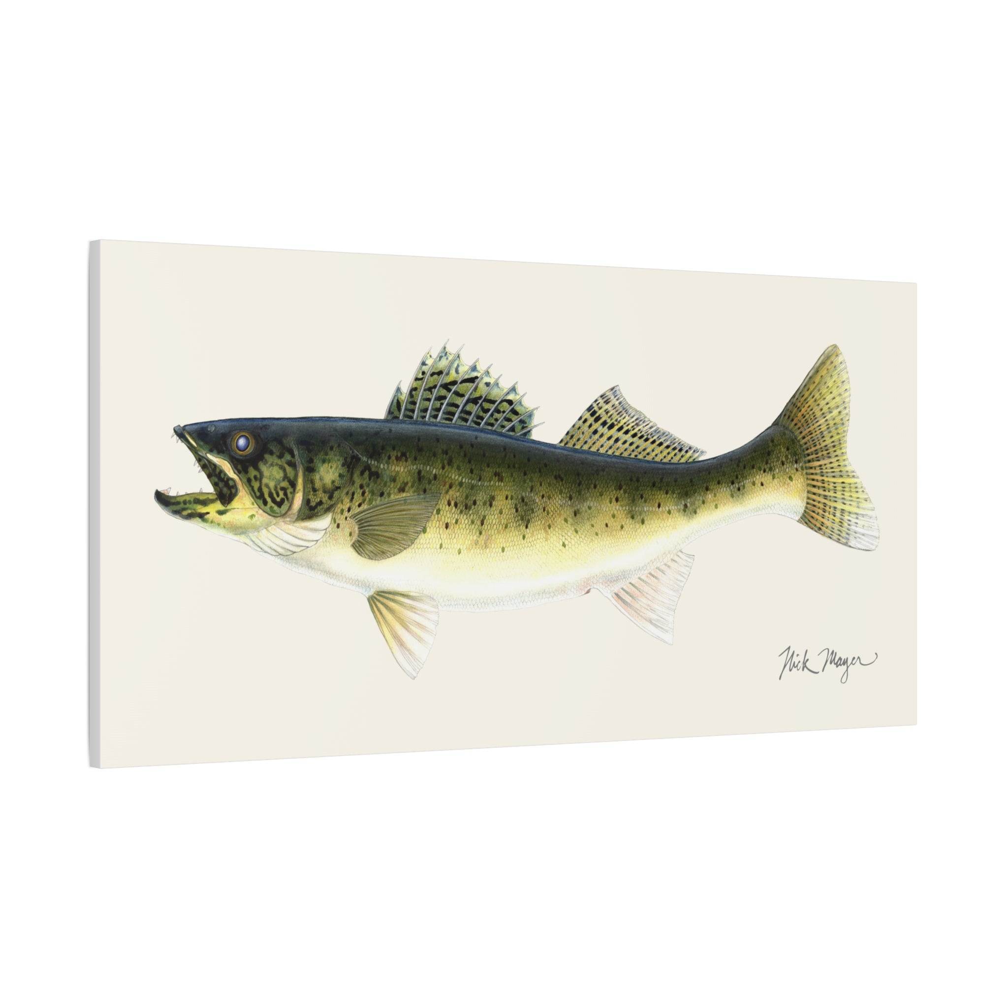 Walleye Canvas Print