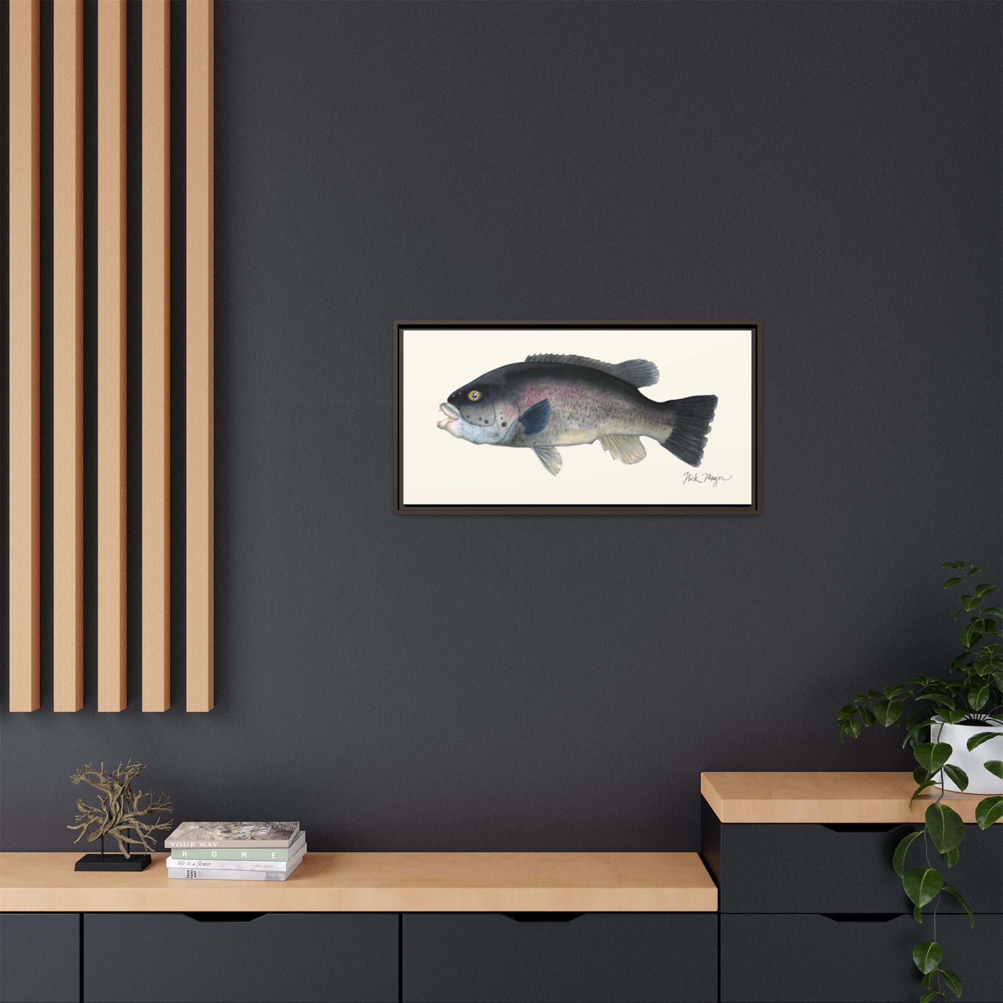 Tautog / Blackfish Framed Canvas Print Printify