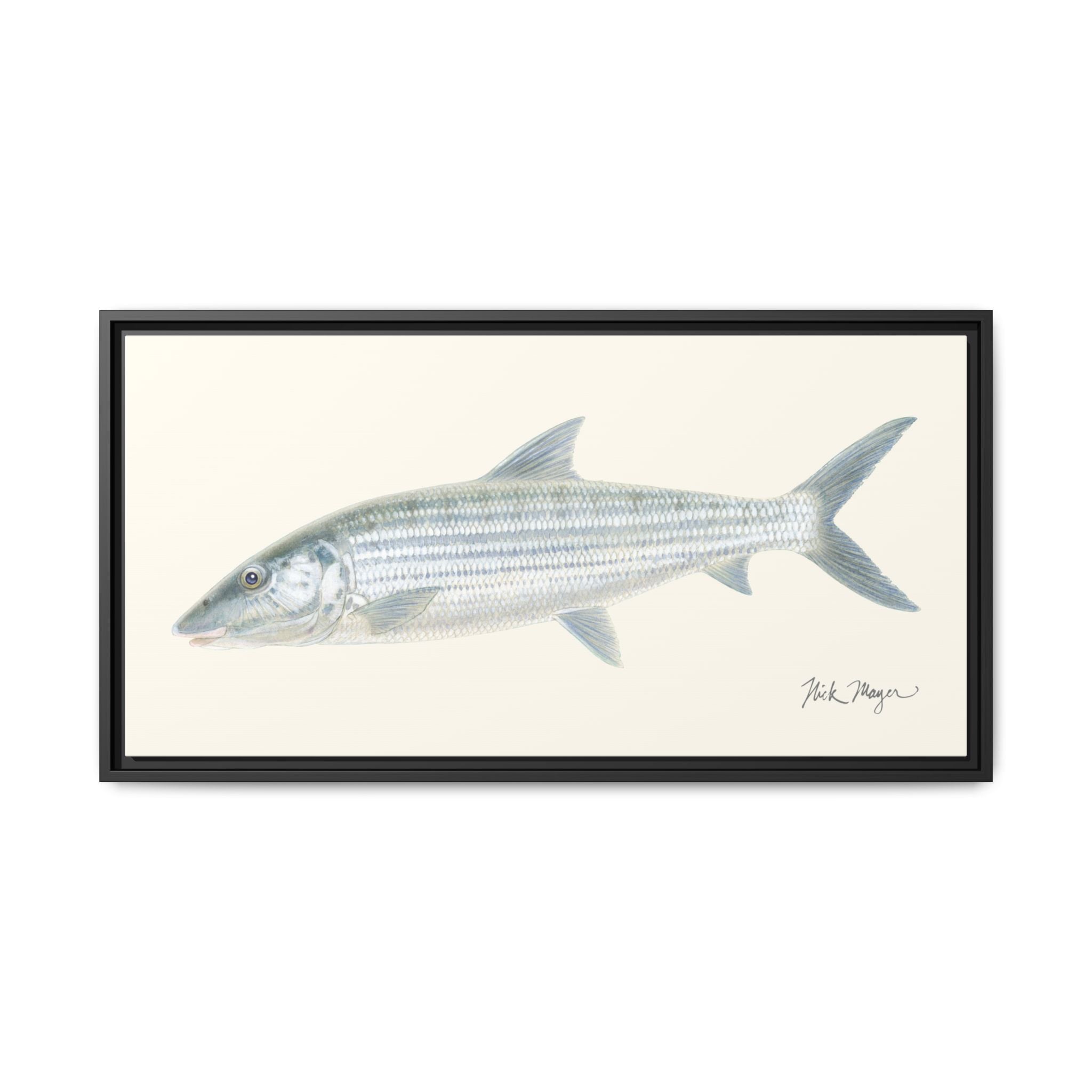 Bonefish Framed Canvas Print Printify