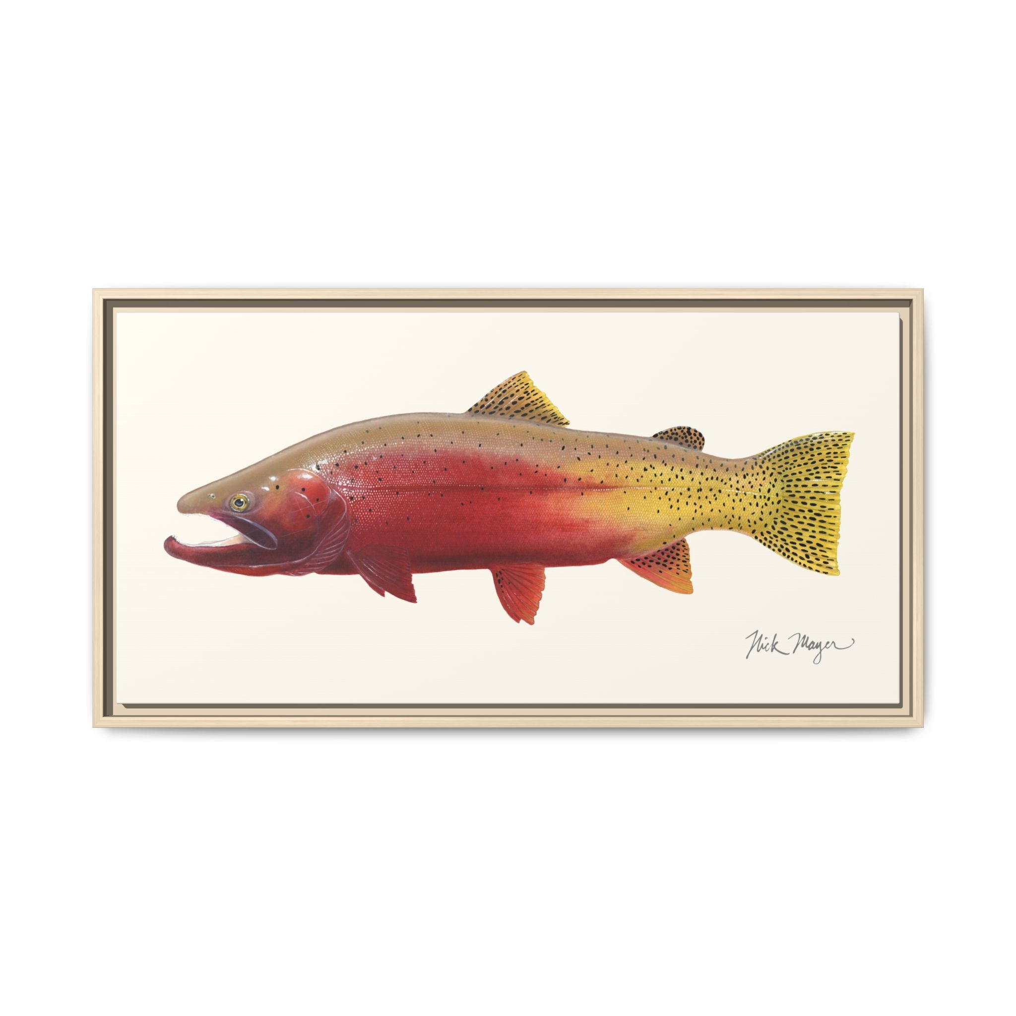 Cutthroat Trout II Framed Canvas Print Printify