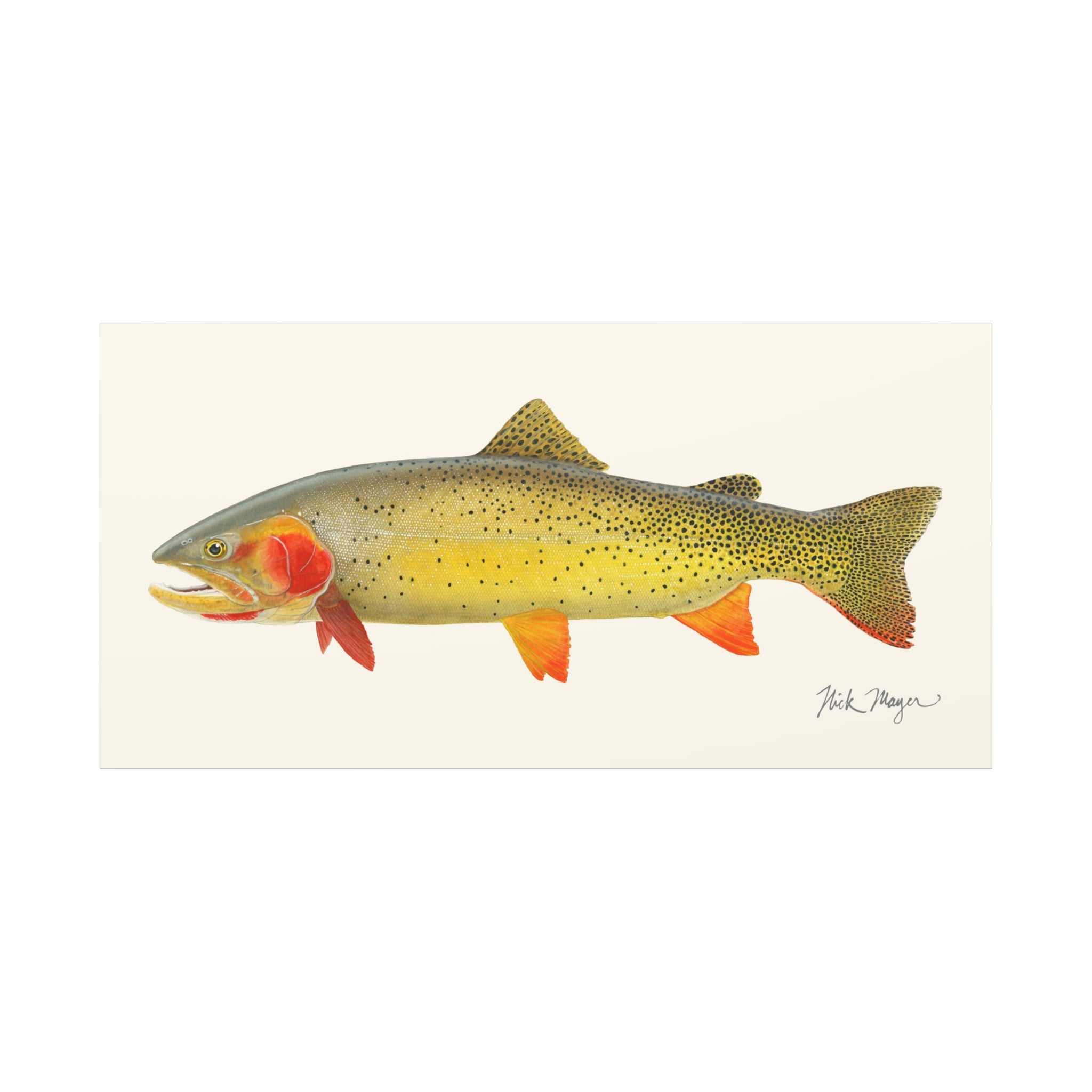 Cutthroat Trout I Canvas Print Printify