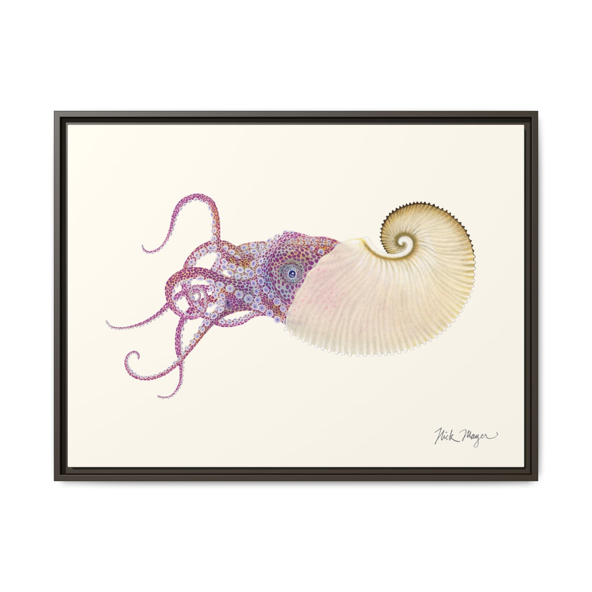 Paper Nautilus Framed Canvas Print Printify