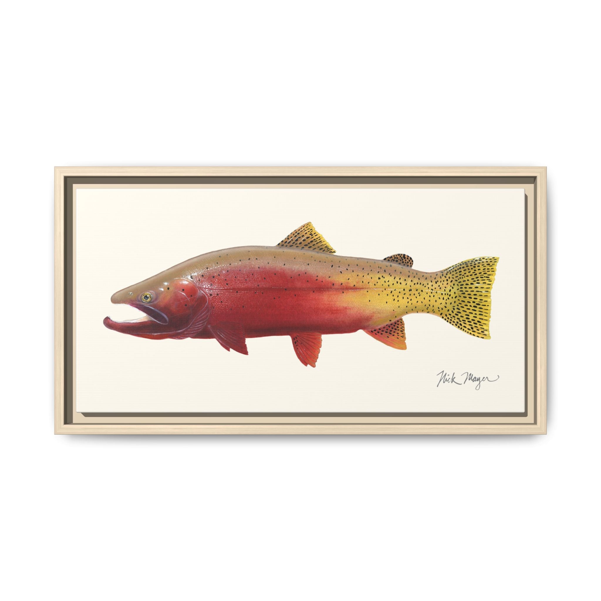 Cutthroat Trout II Framed Canvas Print Printify