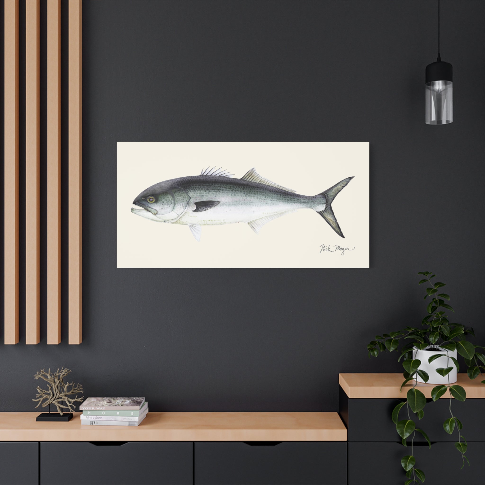 Bluefish Canvas Print
