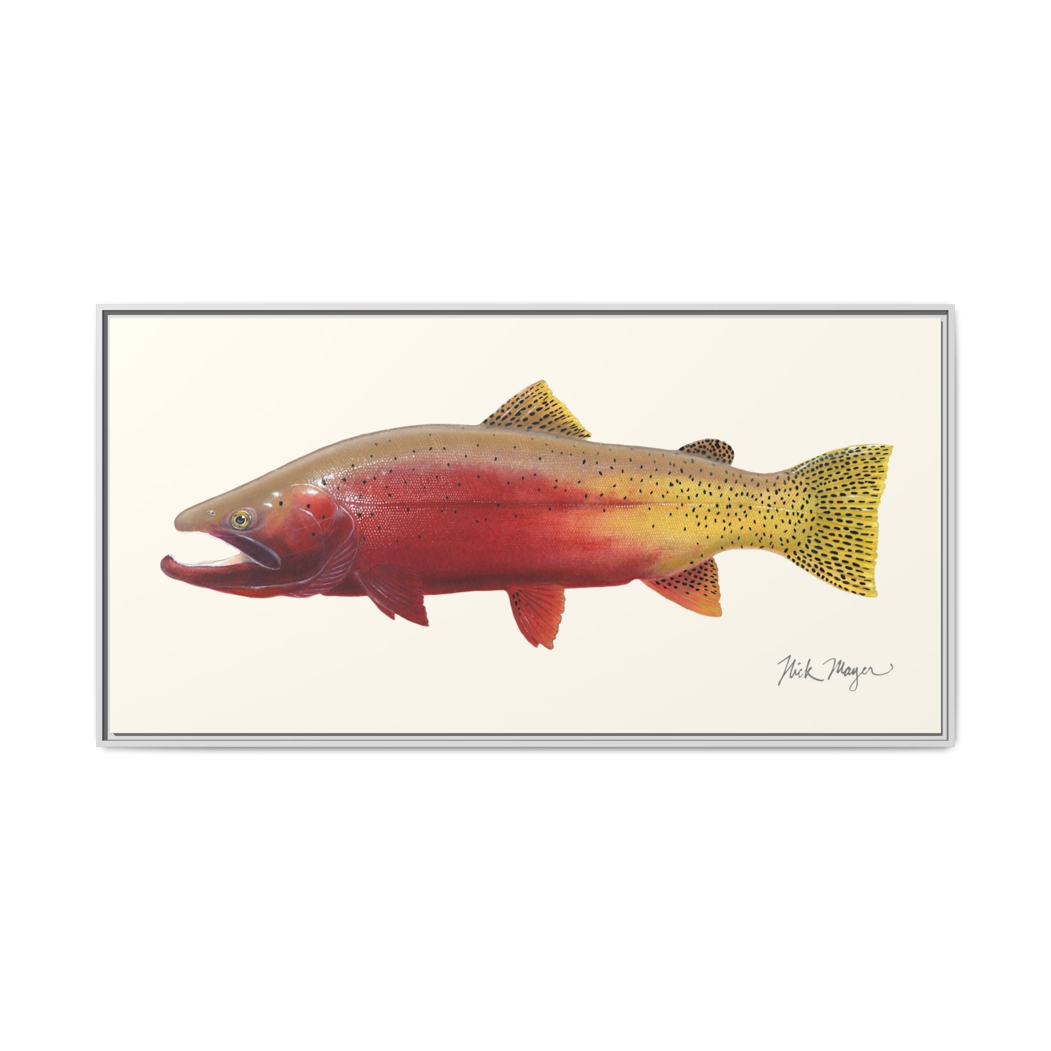 Cutthroat Trout II Framed Canvas Print Printify