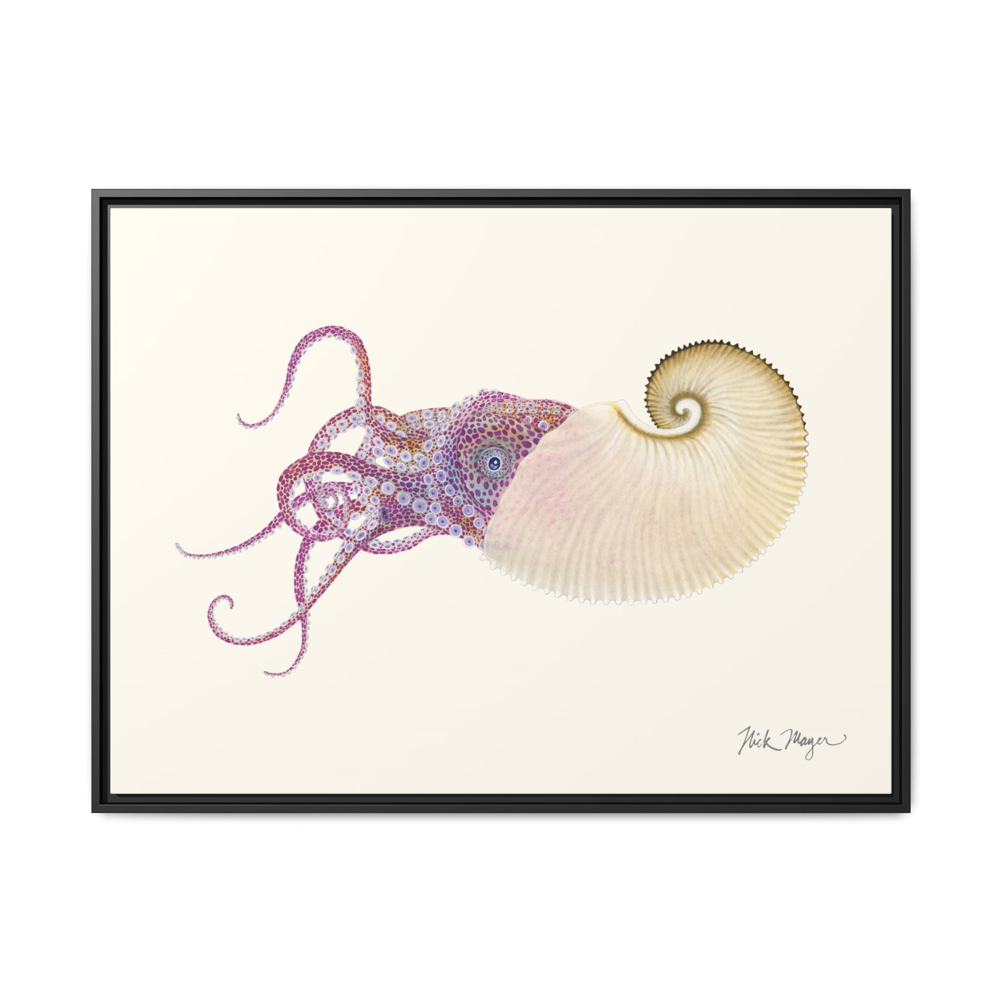 Paper Nautilus Framed Canvas Print Printify