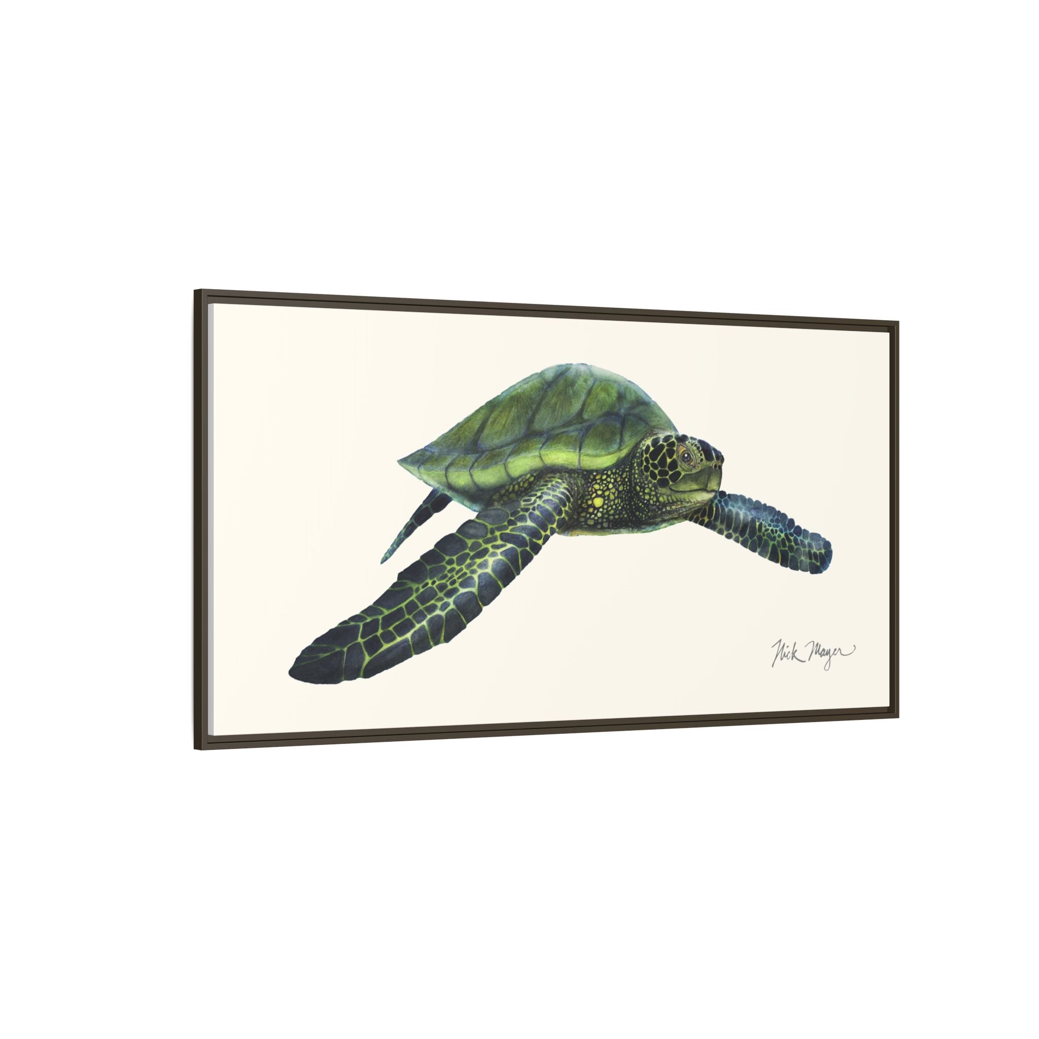 Green Sea Turtle I Framed Canvas Print Printify