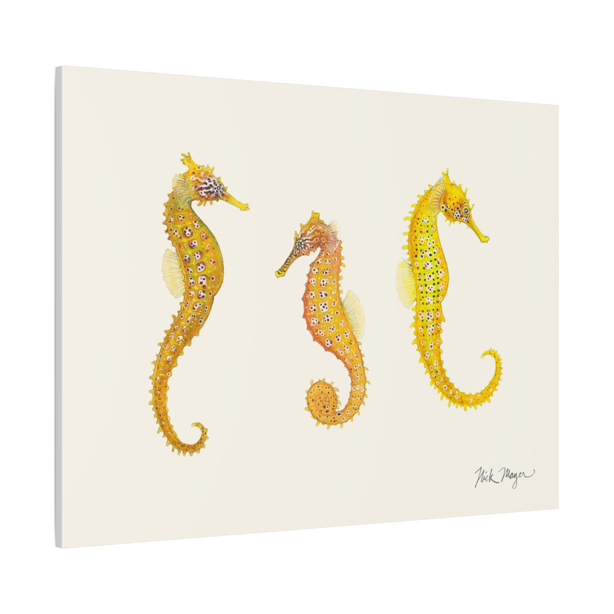 Giant Seahorse Trio Canvas Print