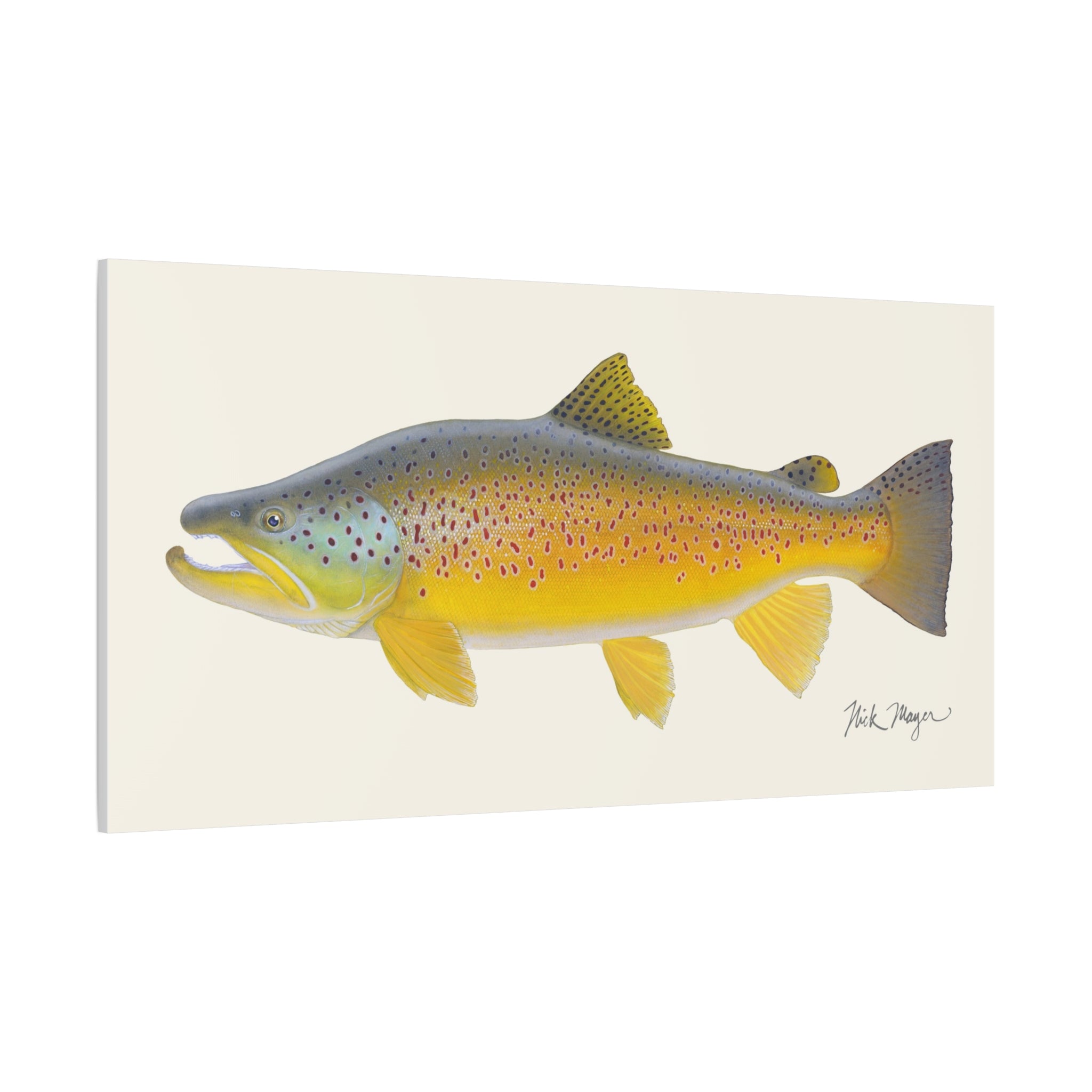 Brown Trout III Canvas Print, New!