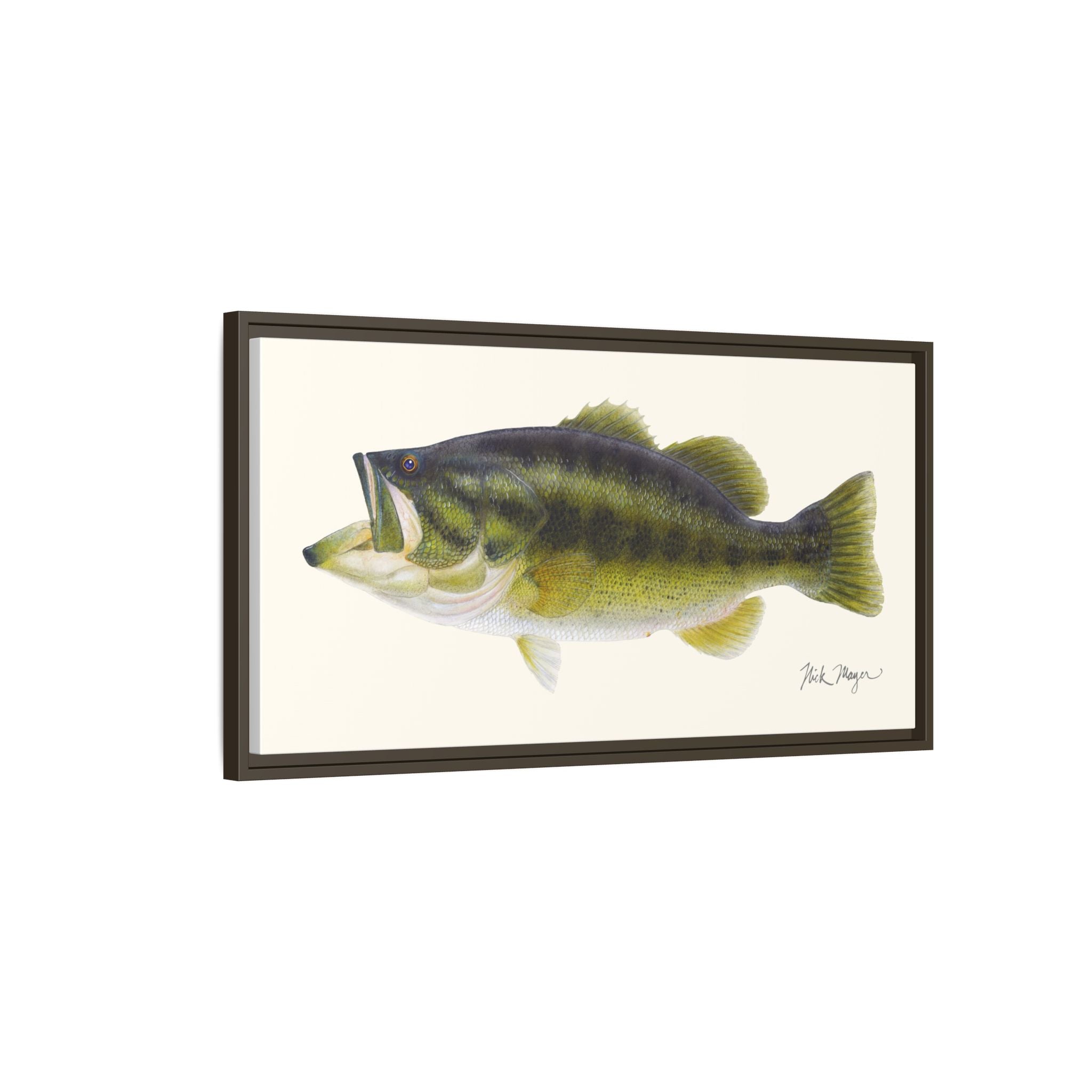 Largemouth Bass I Framed Canvas Print Printify