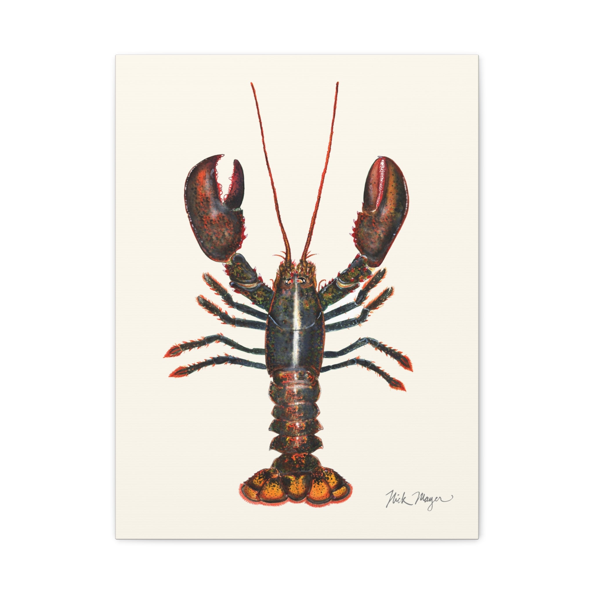 Northern Lobster Canvas Print