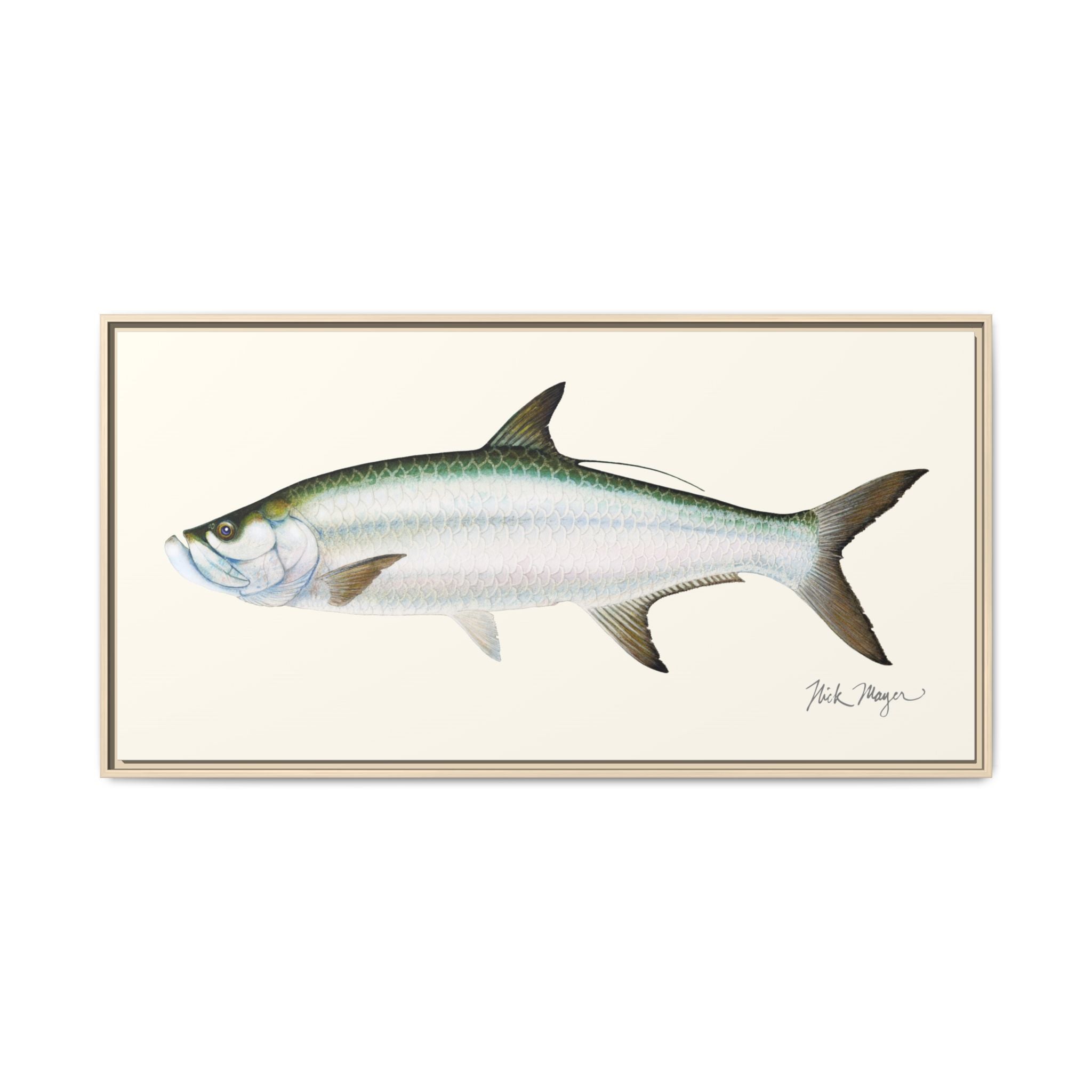 Tarpon Framed Canvas Print Printify