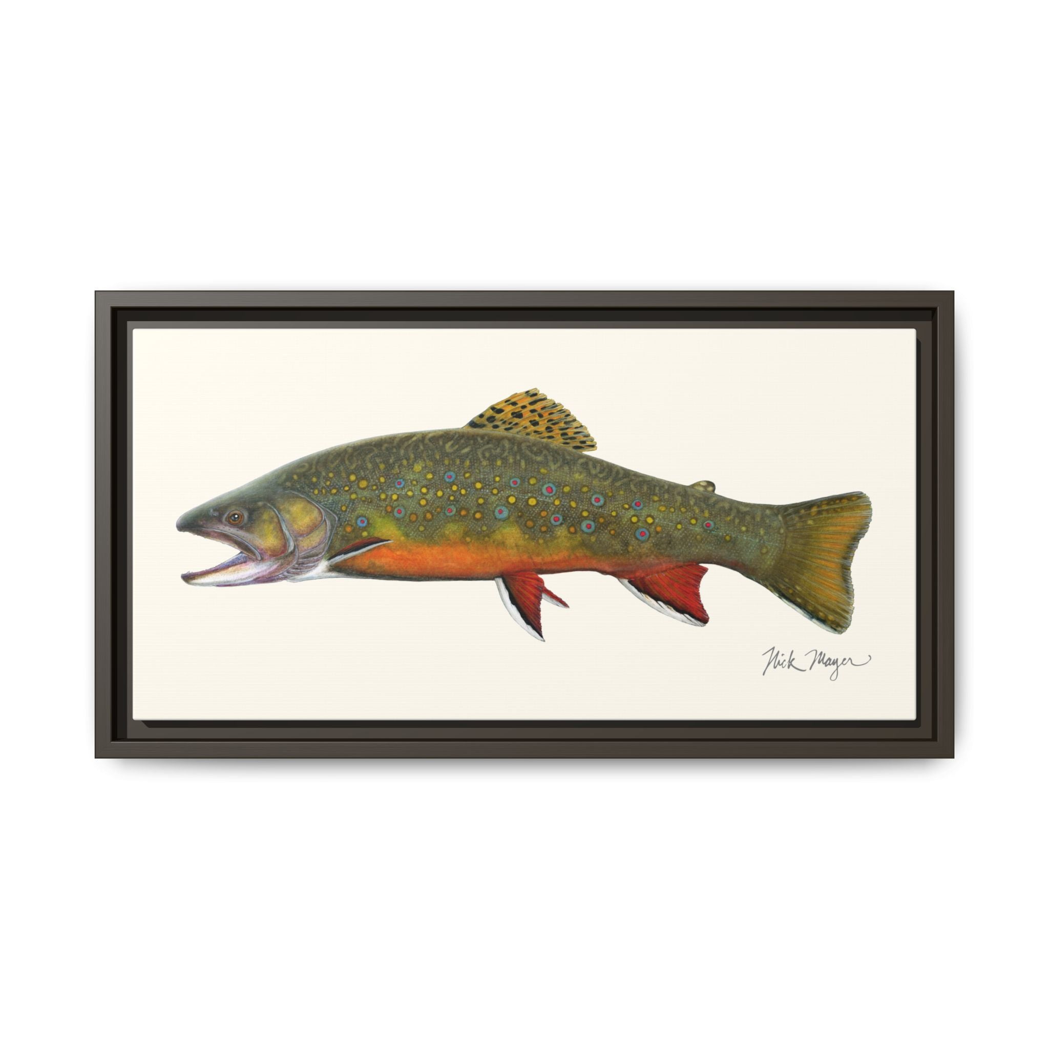Beaver Pond Brook Trout Framed Canvas Print Printify