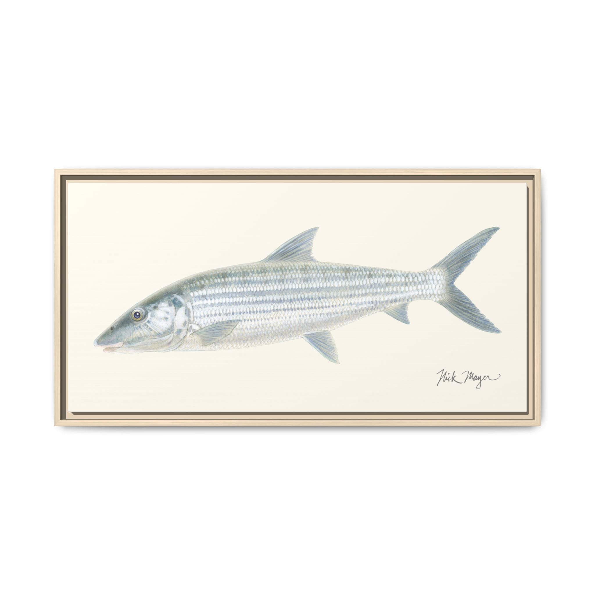 Bonefish Framed Canvas Print Printify