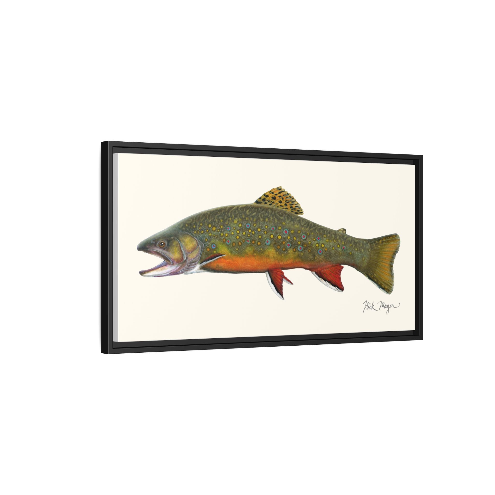 Beaver Pond Brook Trout Framed Canvas Print Printify