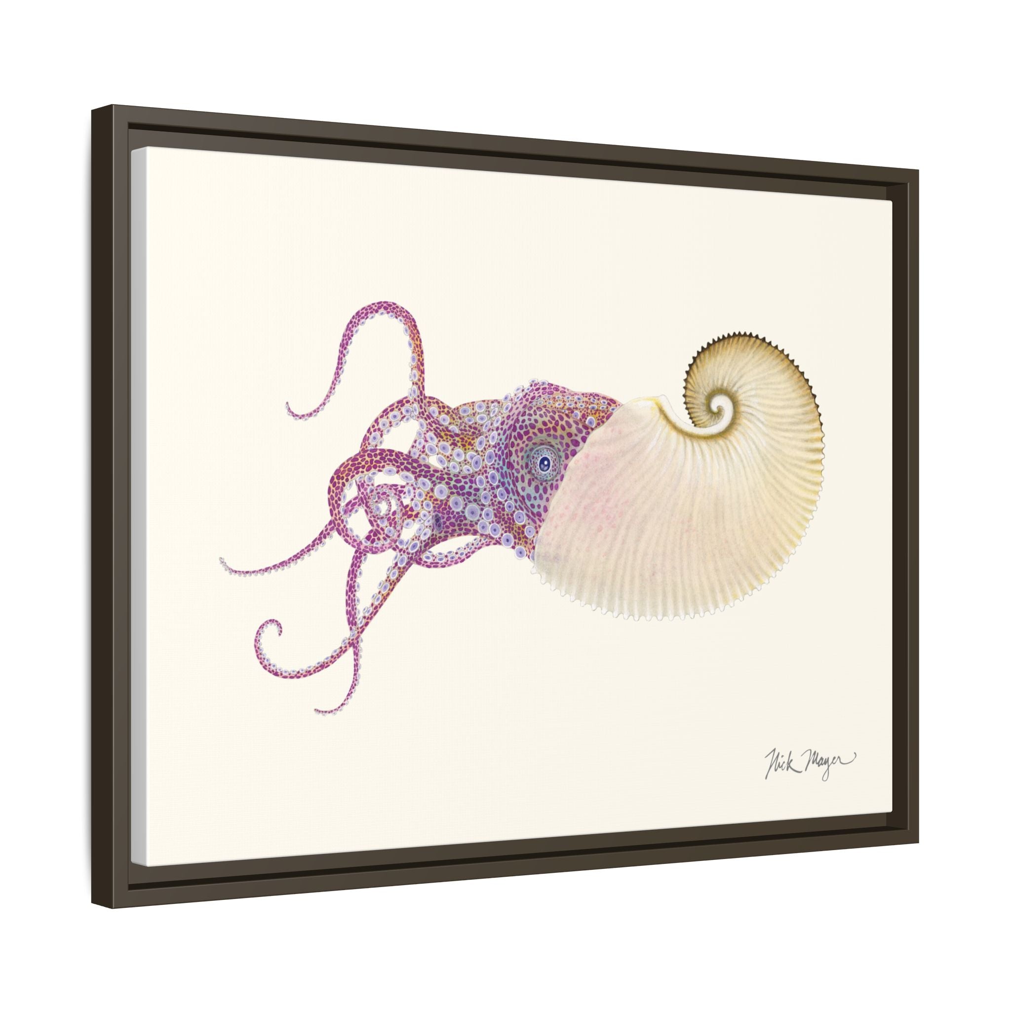 Paper Nautilus Framed Canvas Print Printify