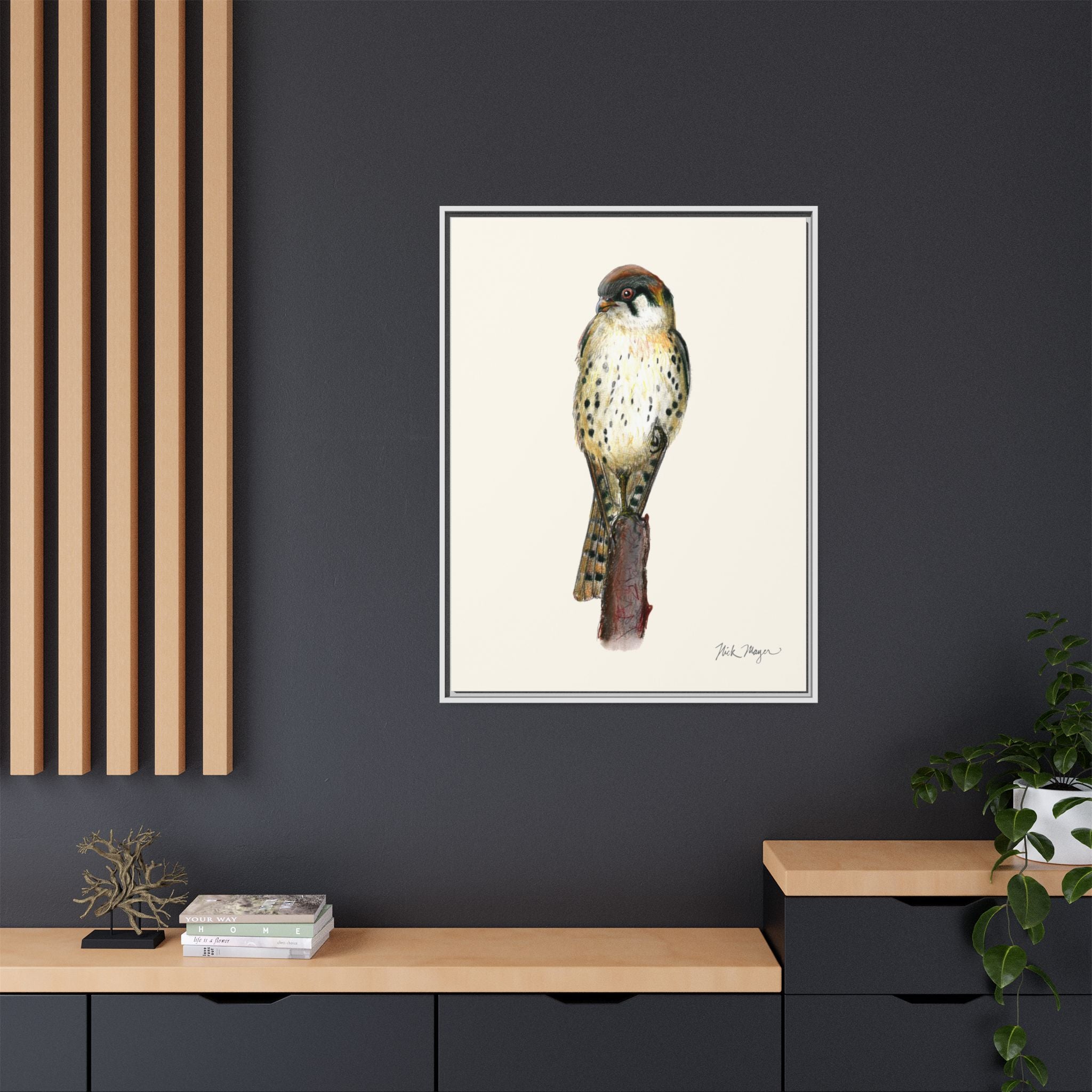 American Kestrel Framed Canvas Print Printify