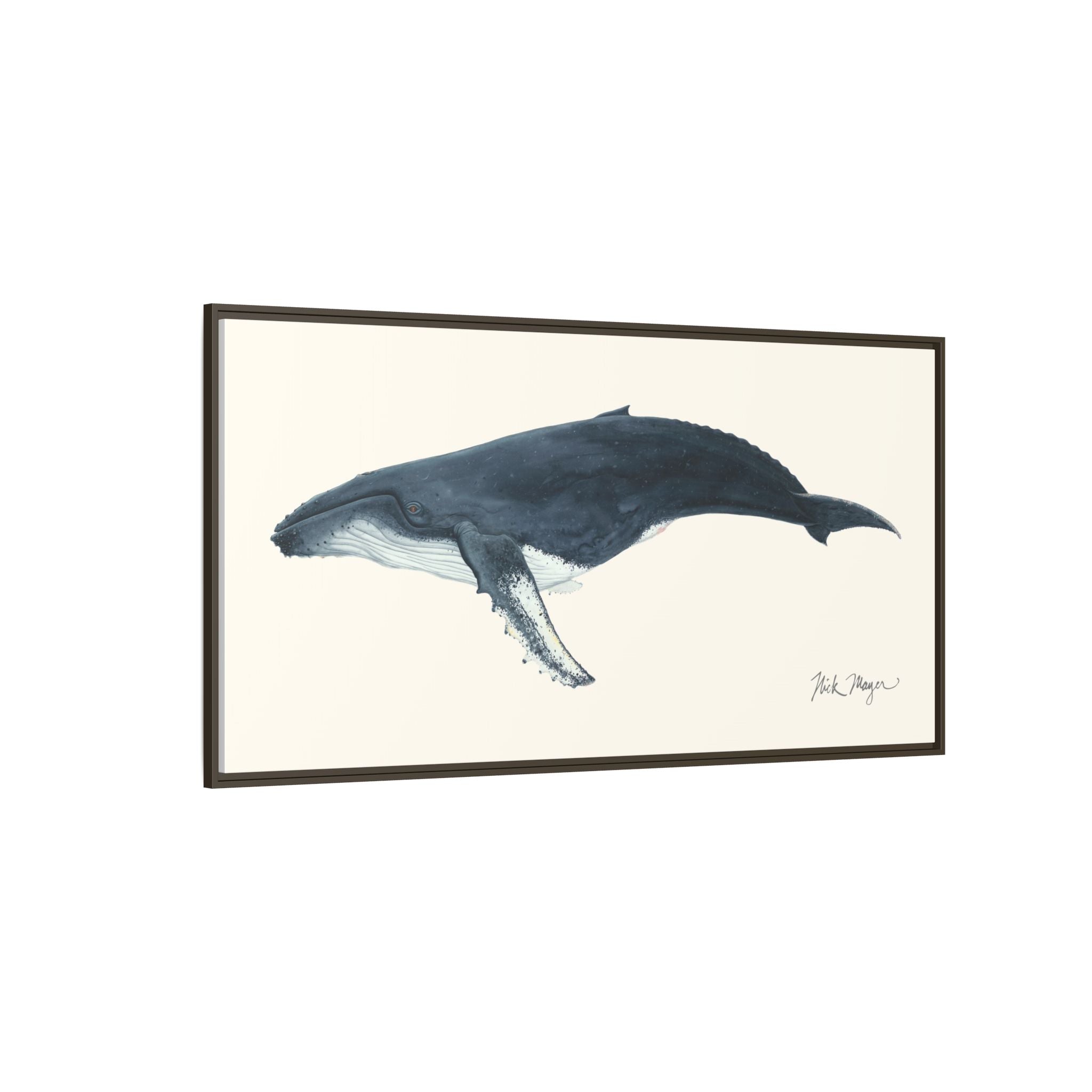 Humpback Whale Framed Canvas Print Printify