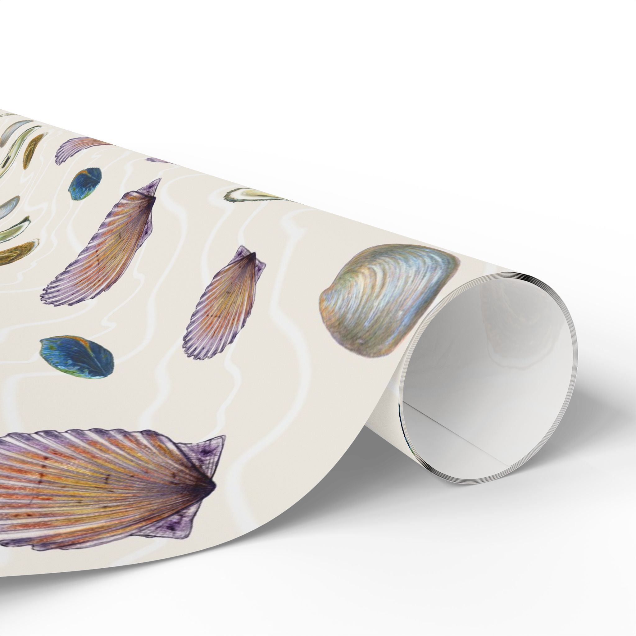 Shells 2 Gift Wrapping Paper