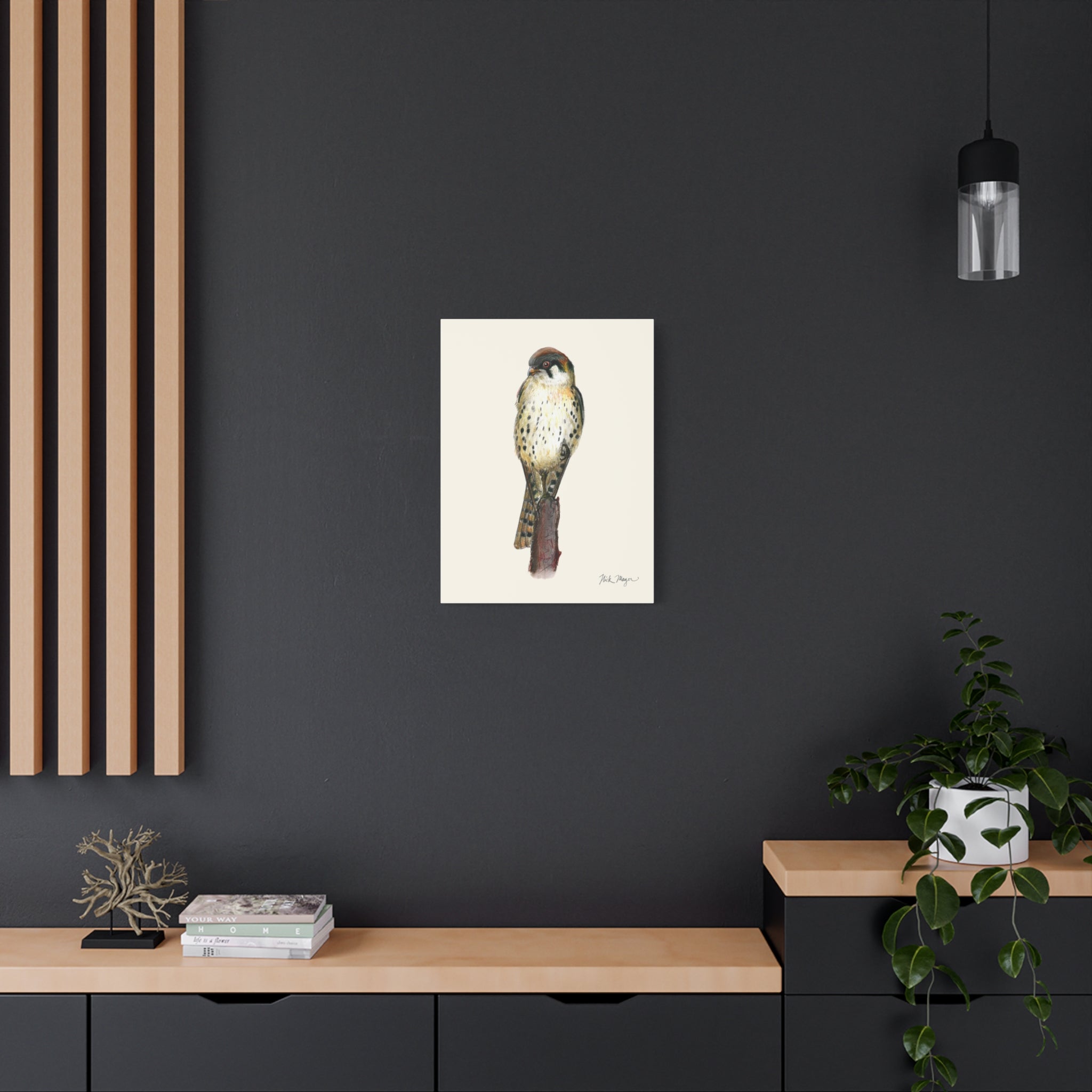 American Kestrel Canvas Print