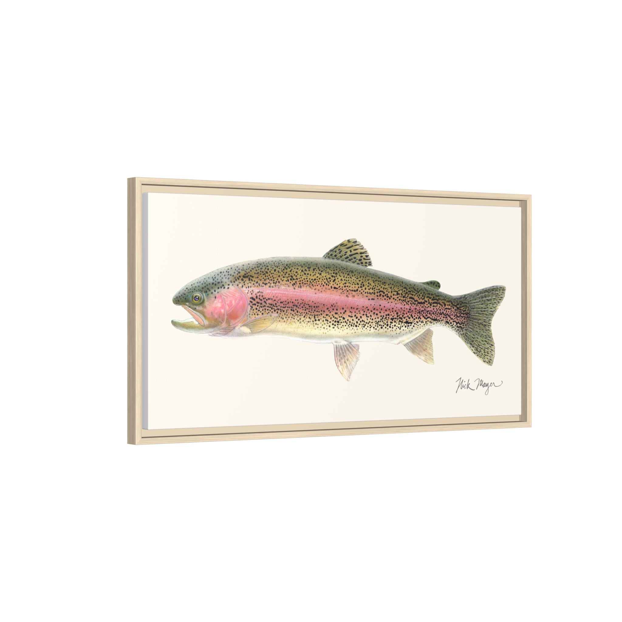 Rainbow Trout Framed Canvas Print Printify