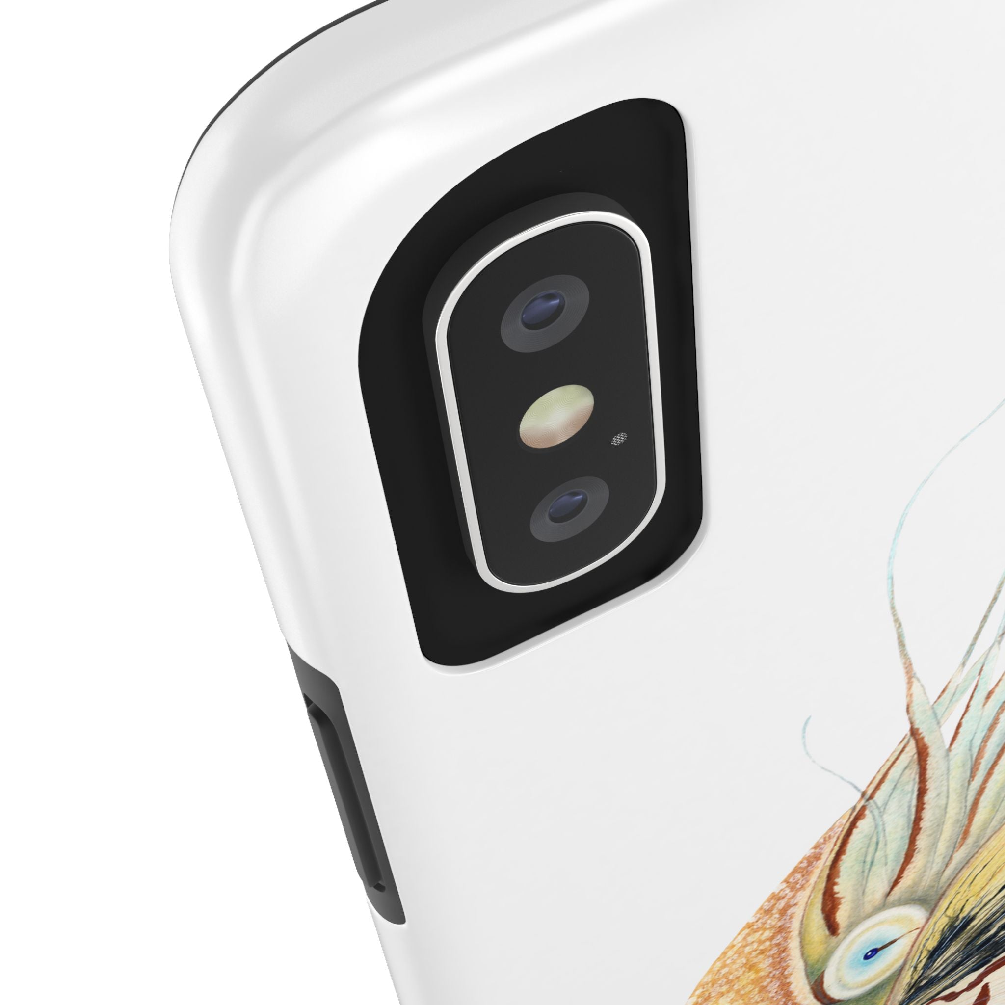 Chambered Nautilus Phone Case (iPhone)