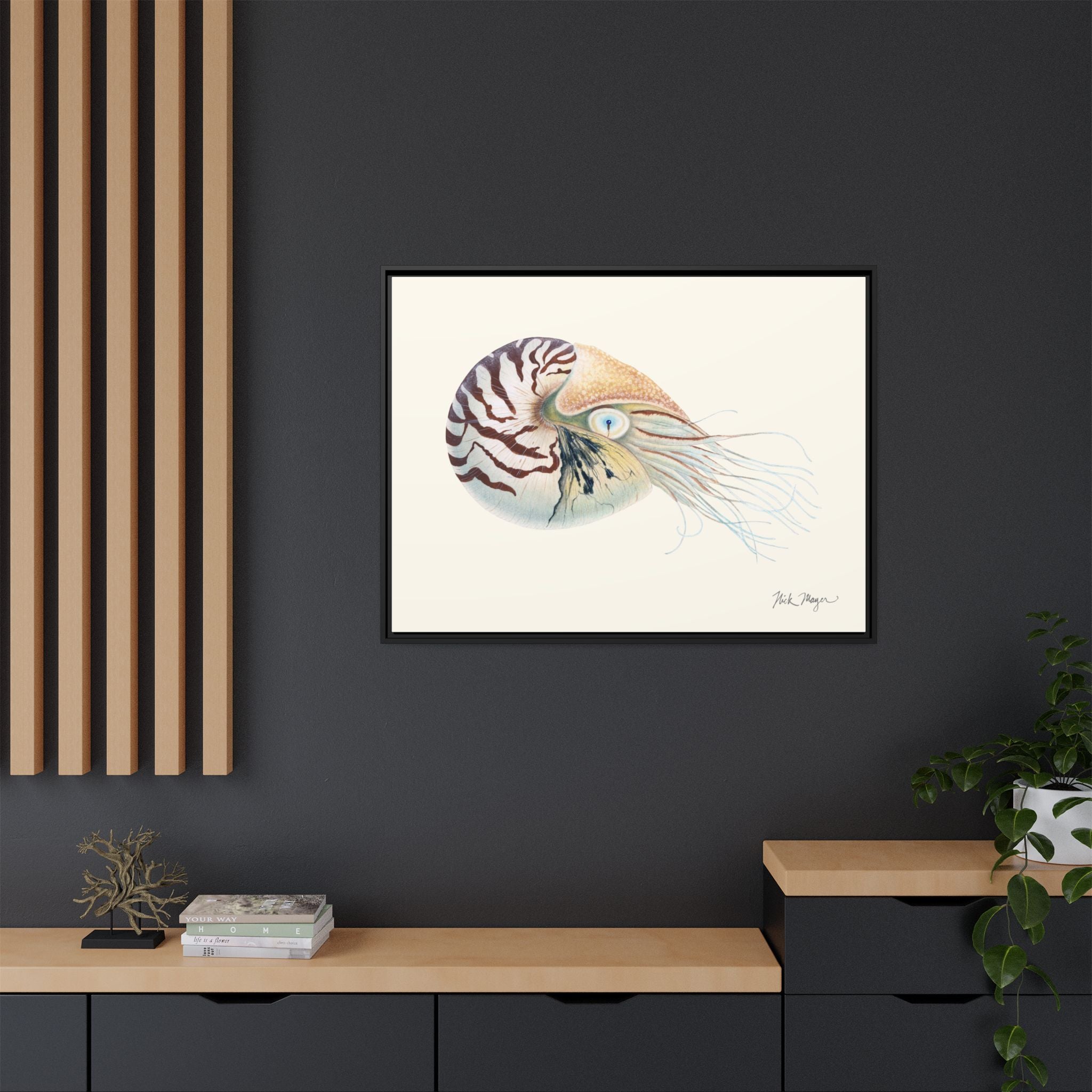 Chambered Nautilus Framed Canvas Print Printify