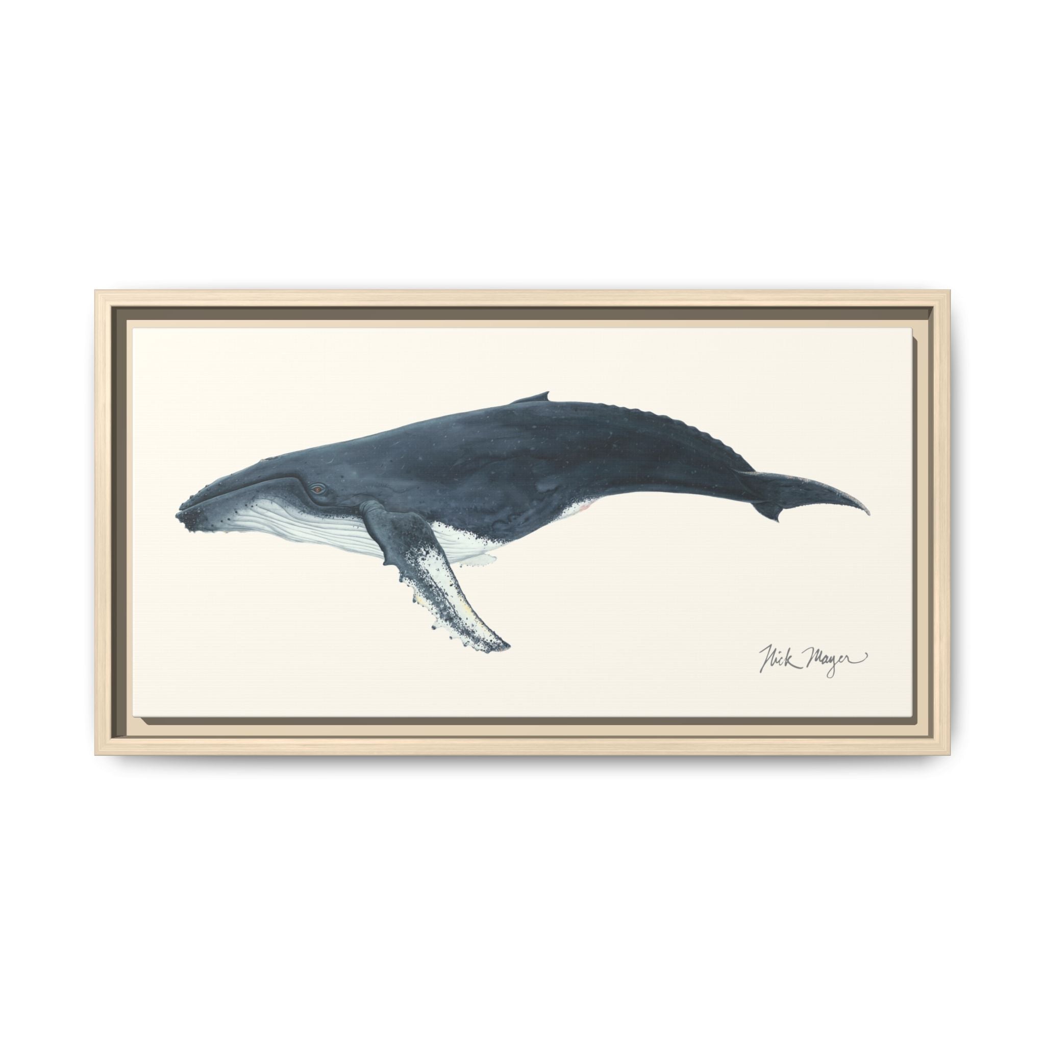 Humpback Whale Framed Canvas Print Printify
