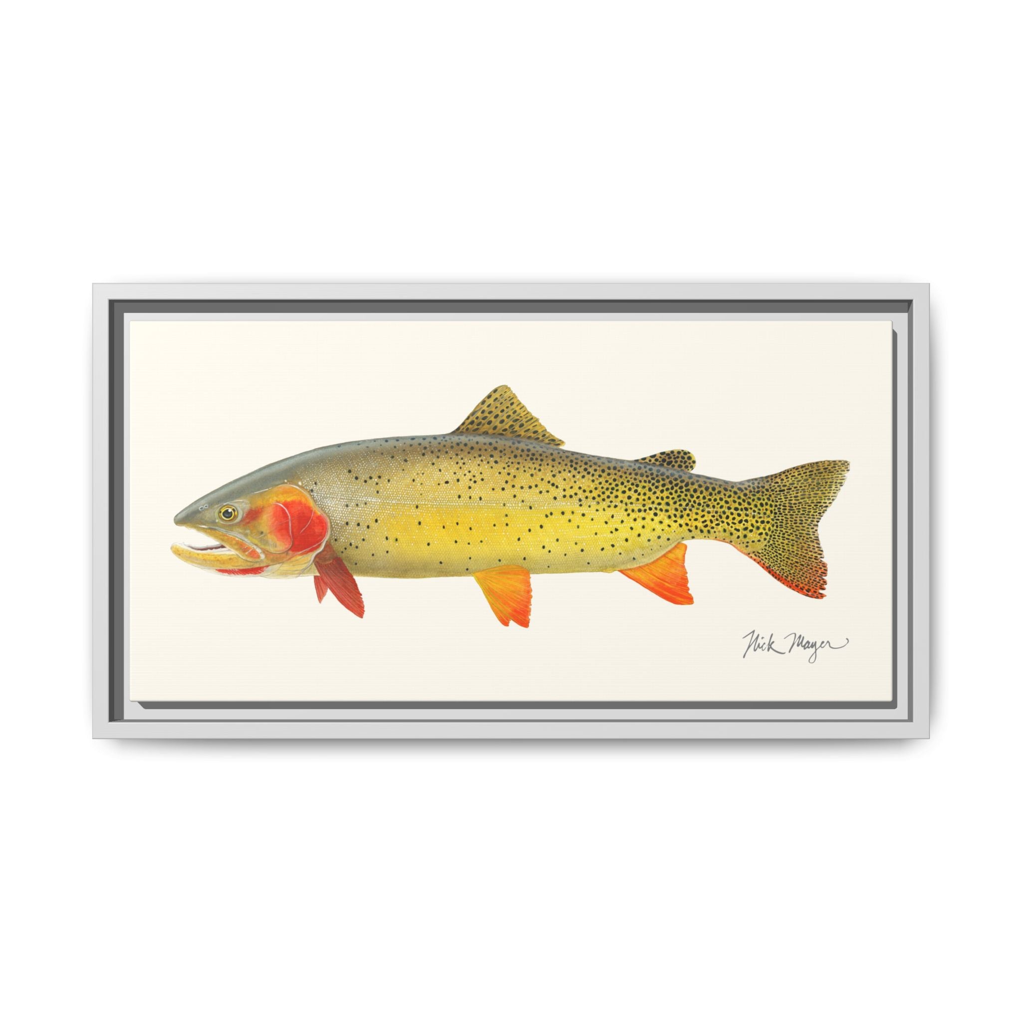 Cutthroat Trout I Framed Canvas Print Printify