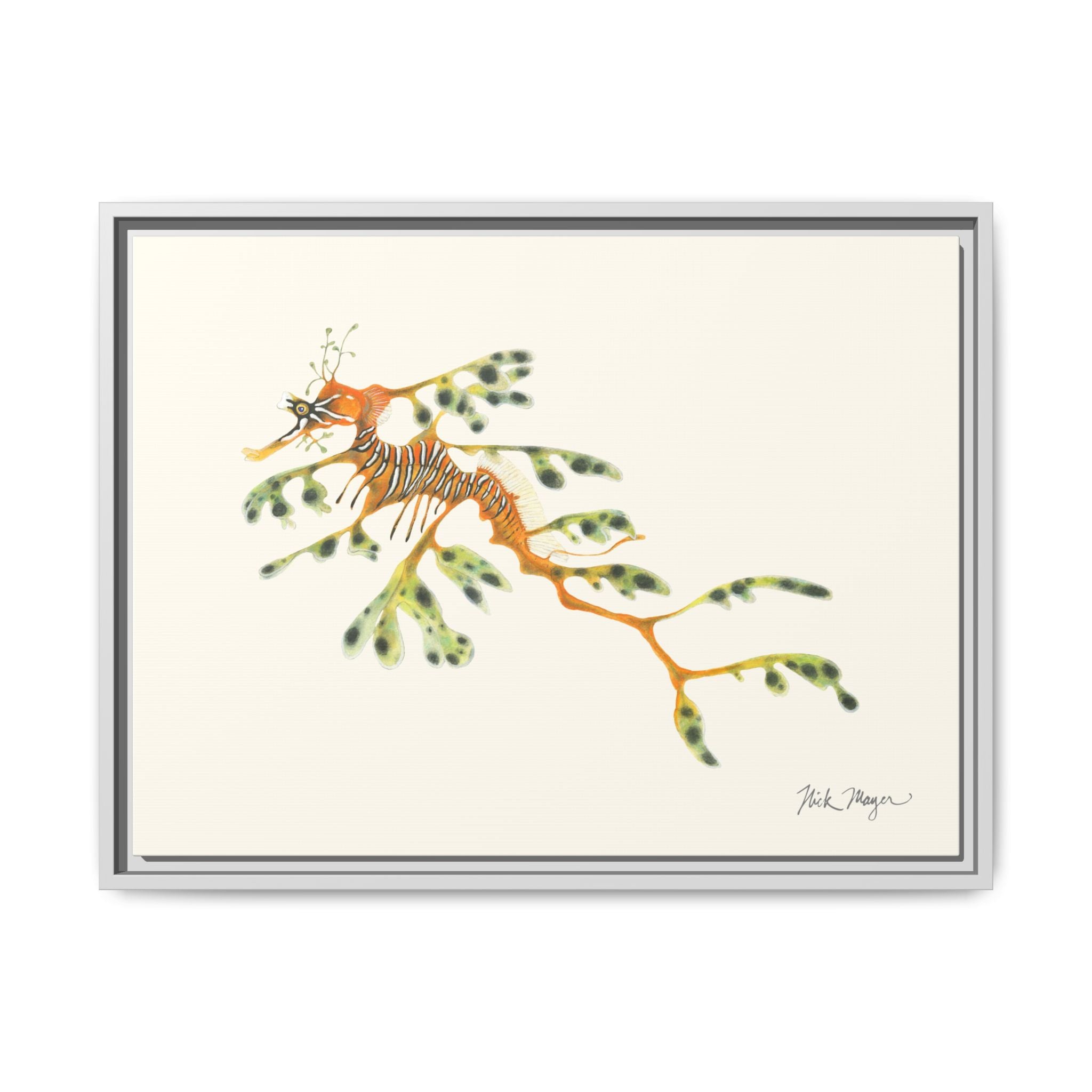 Leafy Sea Dragon Framed Canvas Print Printify