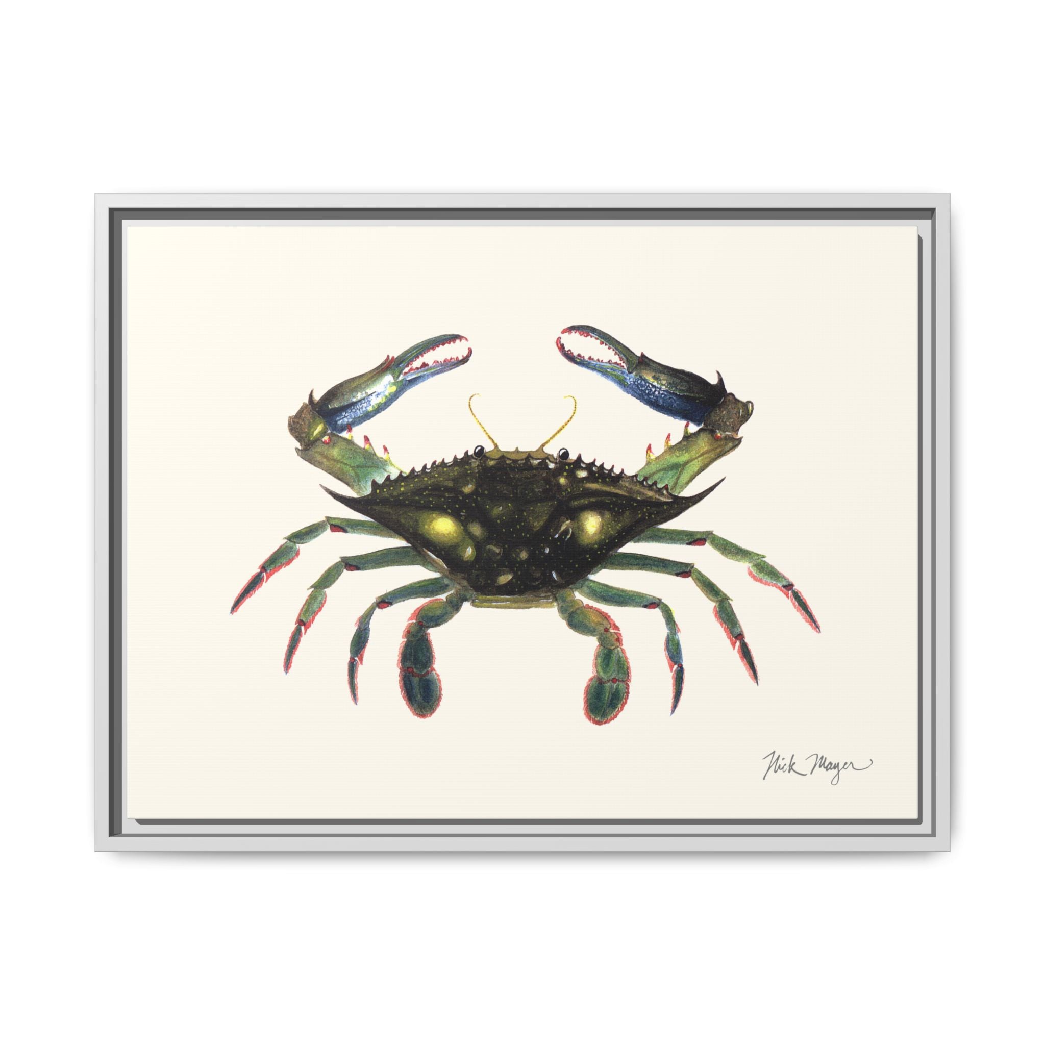 Blue Crab, Claws in Framed Canvas Print Printify