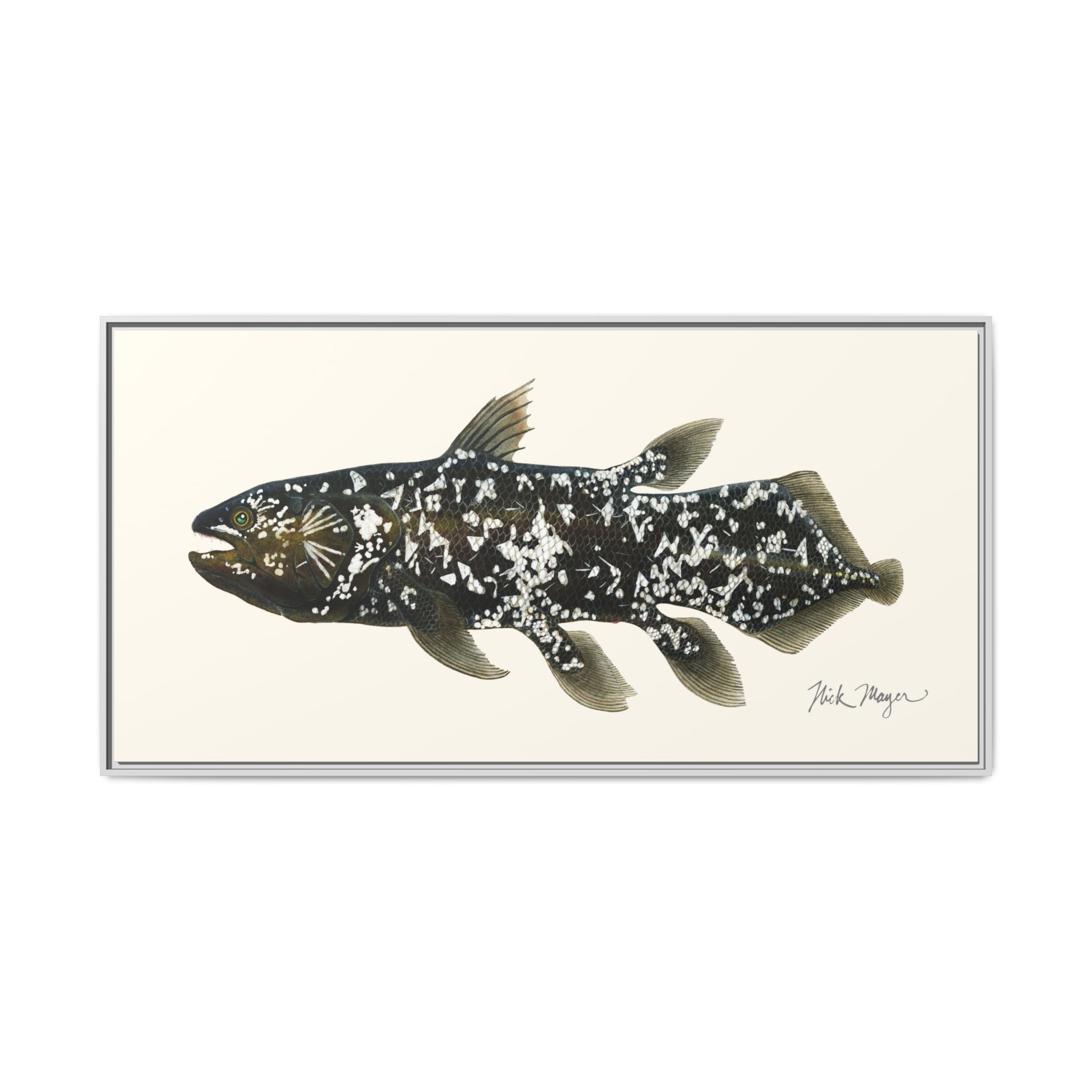 Coelacanth Framed Canvas Print Printify