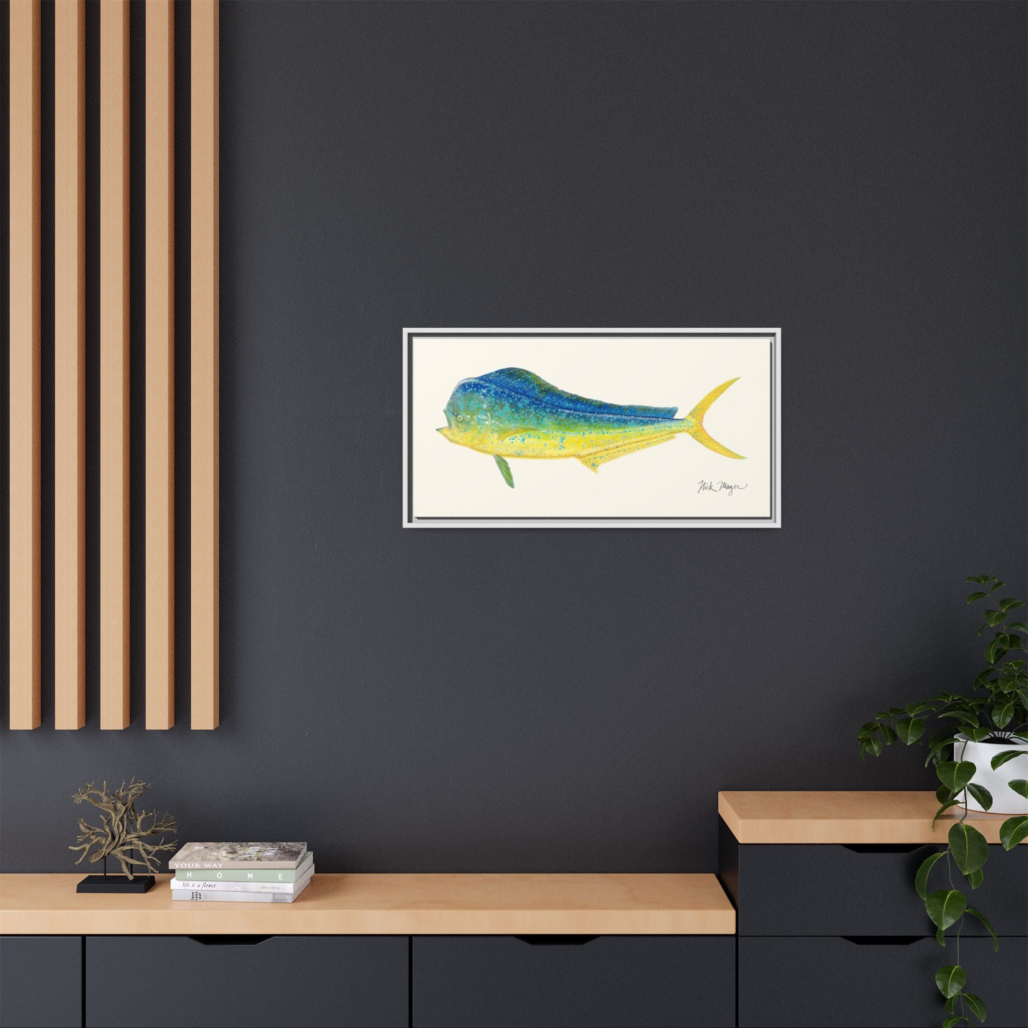 Bull Mahi Mahi Framed Canvas Print