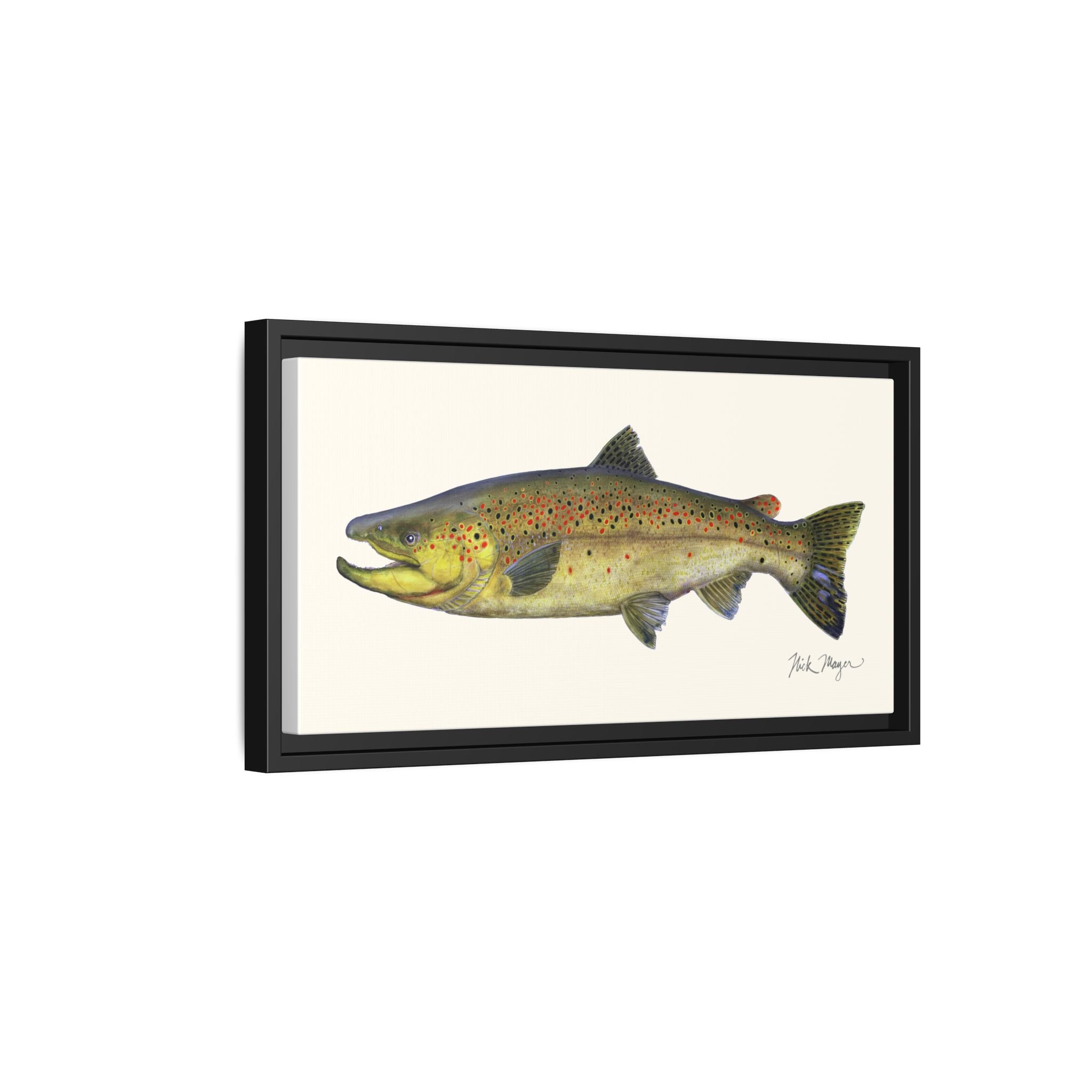Brown Trout I Framed Canvas Print Printify